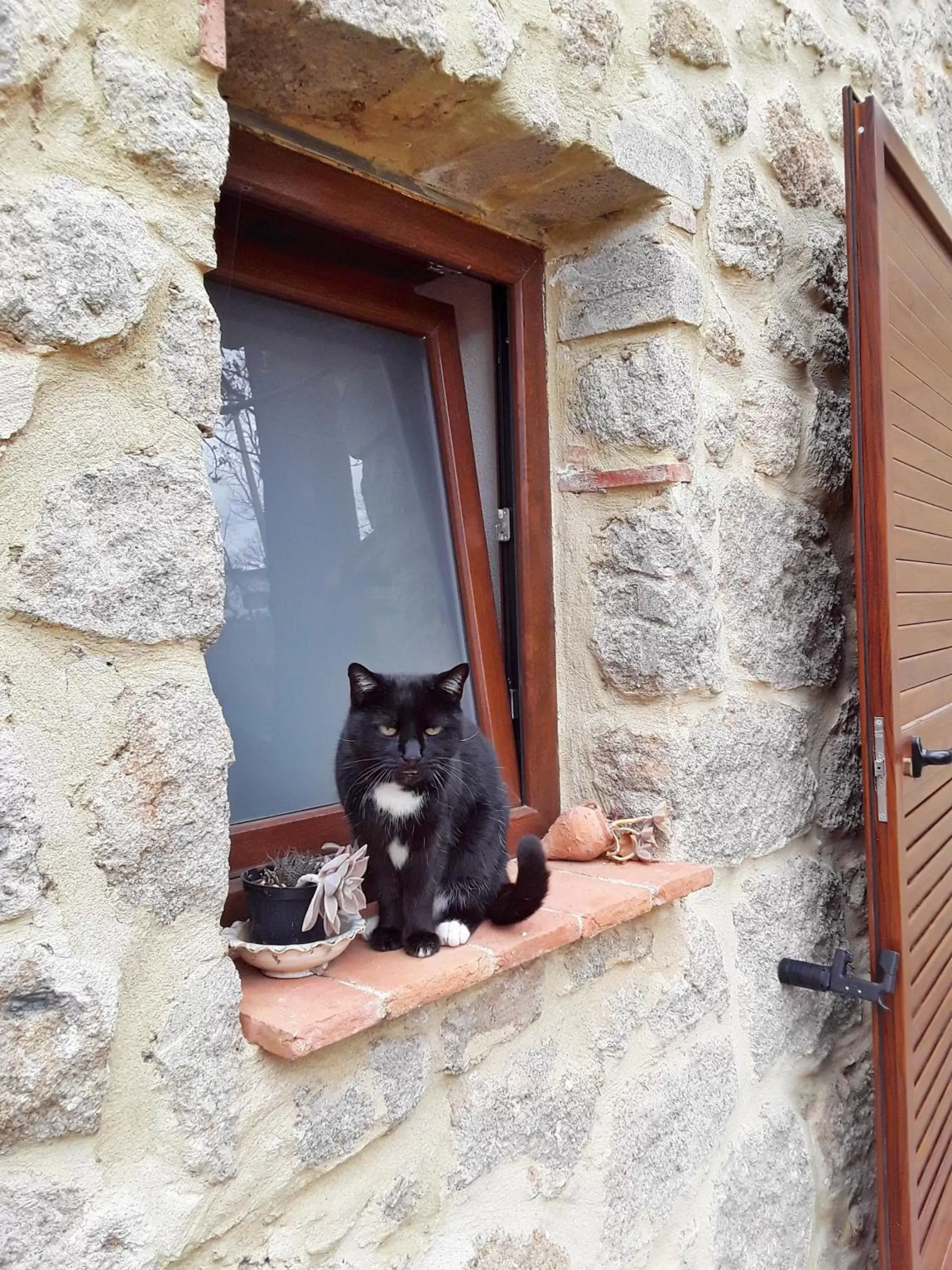 Pets in B&B Podere Legnotorto