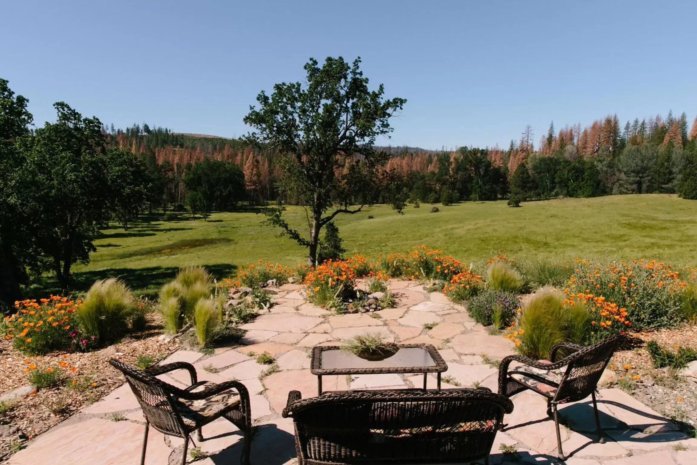 Balcony/Terrace in Red Tail Ranch