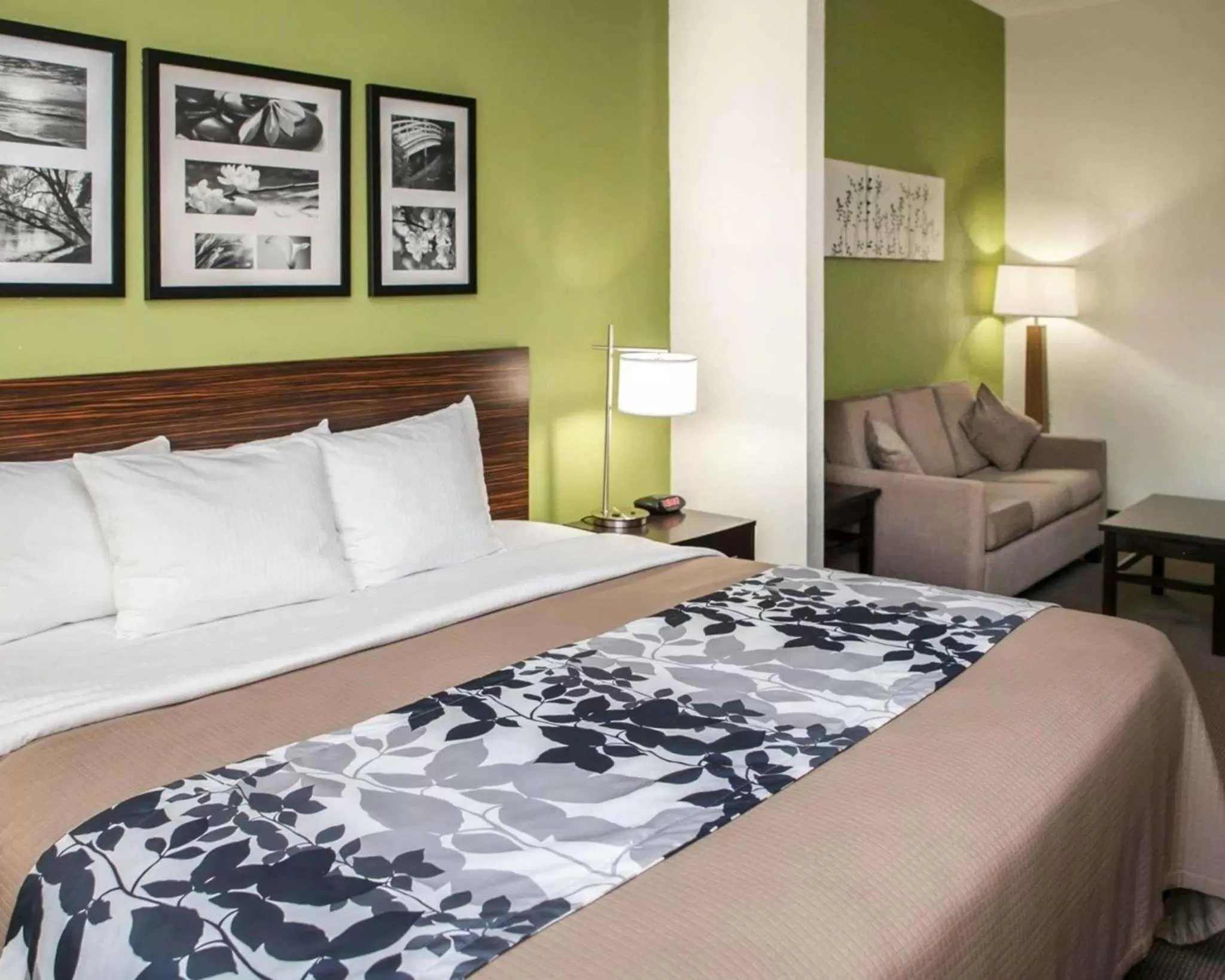 Photo of the whole room, Bed in Sleep Inn & Suites Harrisburg - Hershey North