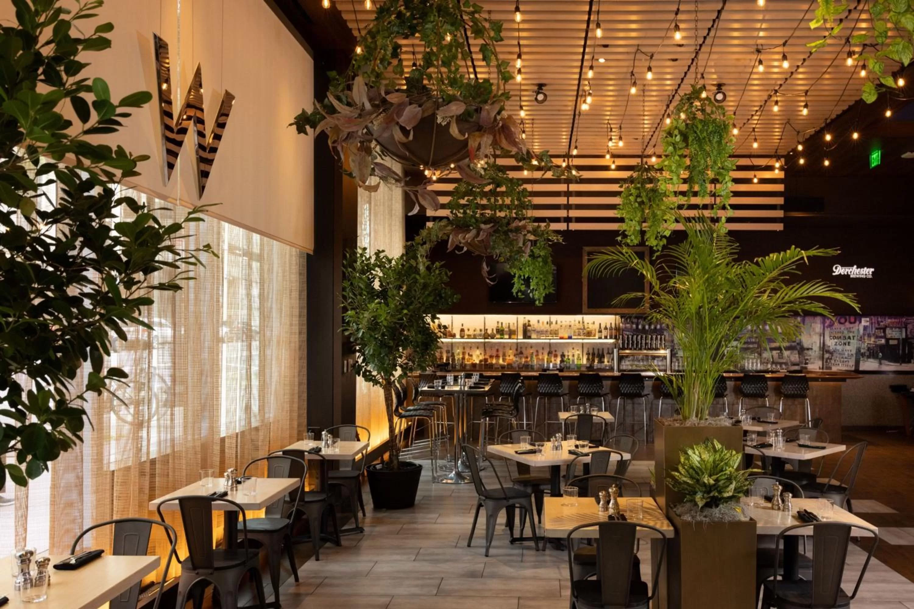 Restaurant/places to eat in W Boston