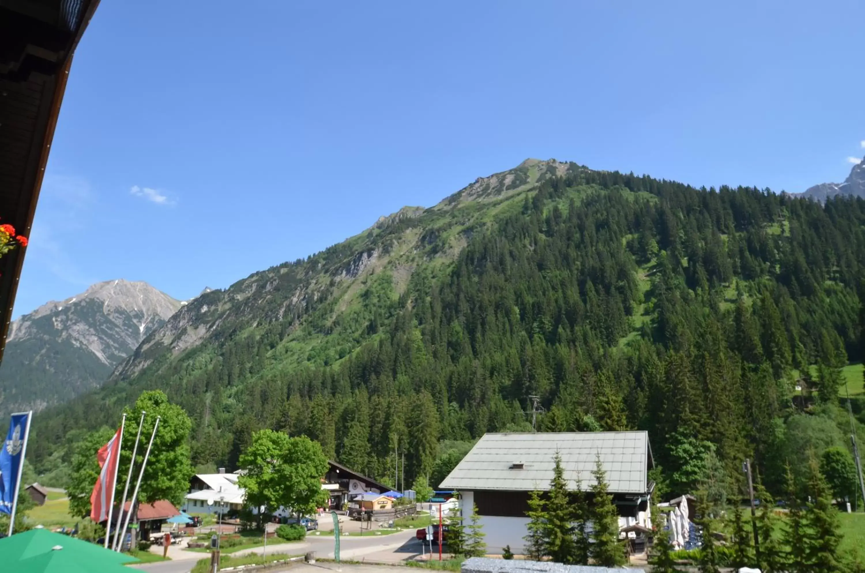 View (from property/room), Mountain View in Alpenhotel Widderstein