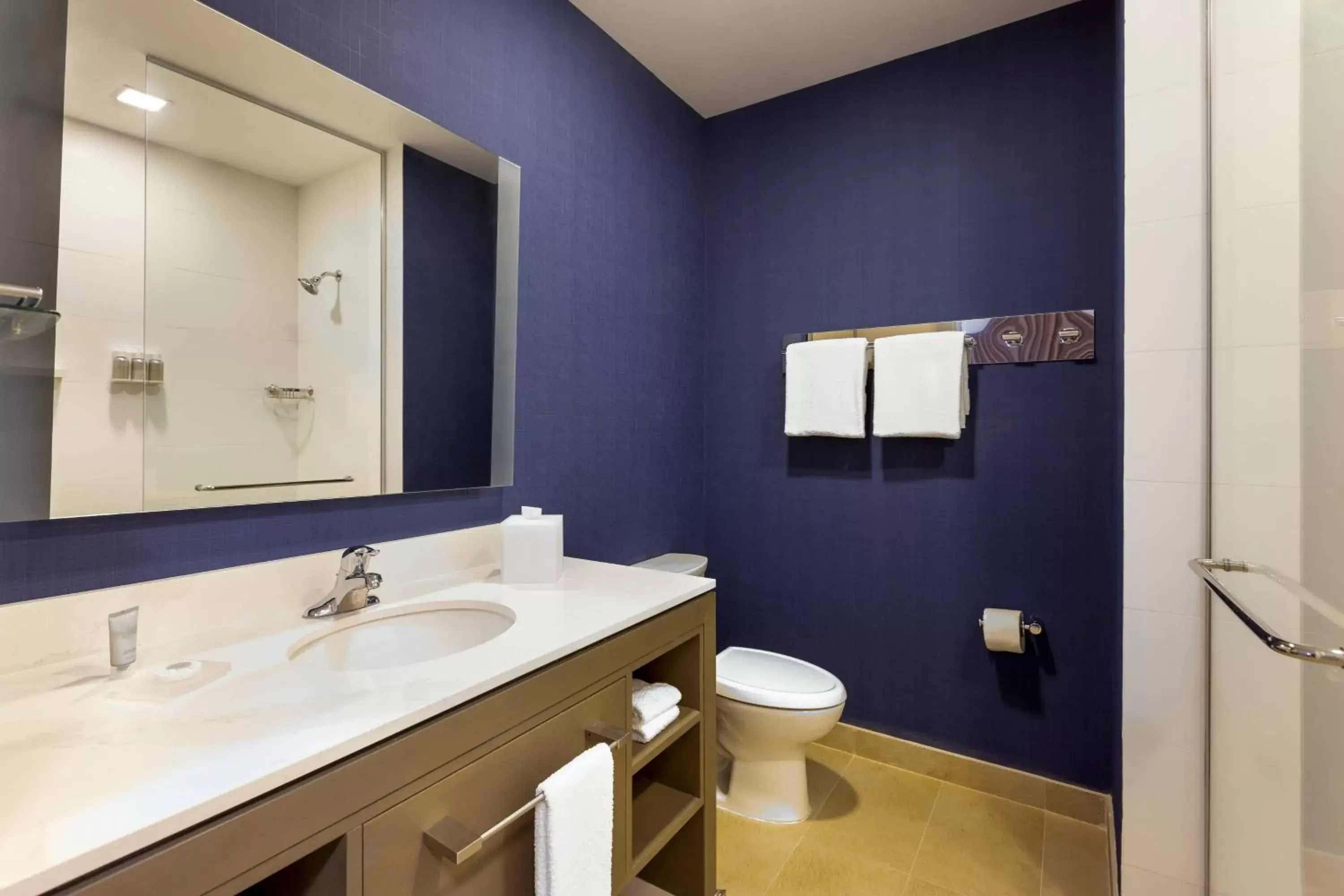 Bathroom in Residence Inn by Marriott Merida