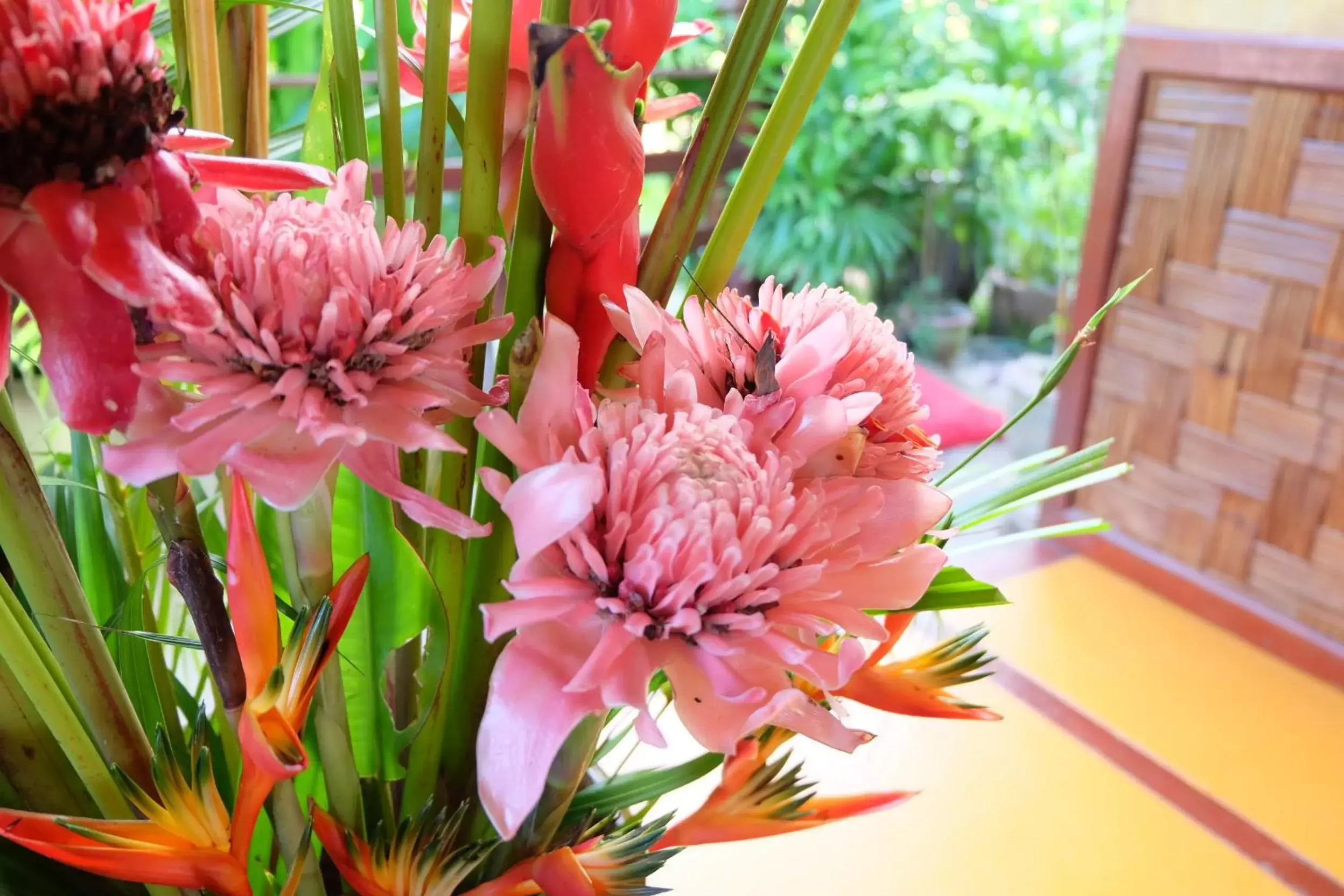 Lobby or reception in Pura Vida Pai Resort Lobby or reception in Pura Vida Pai Resort