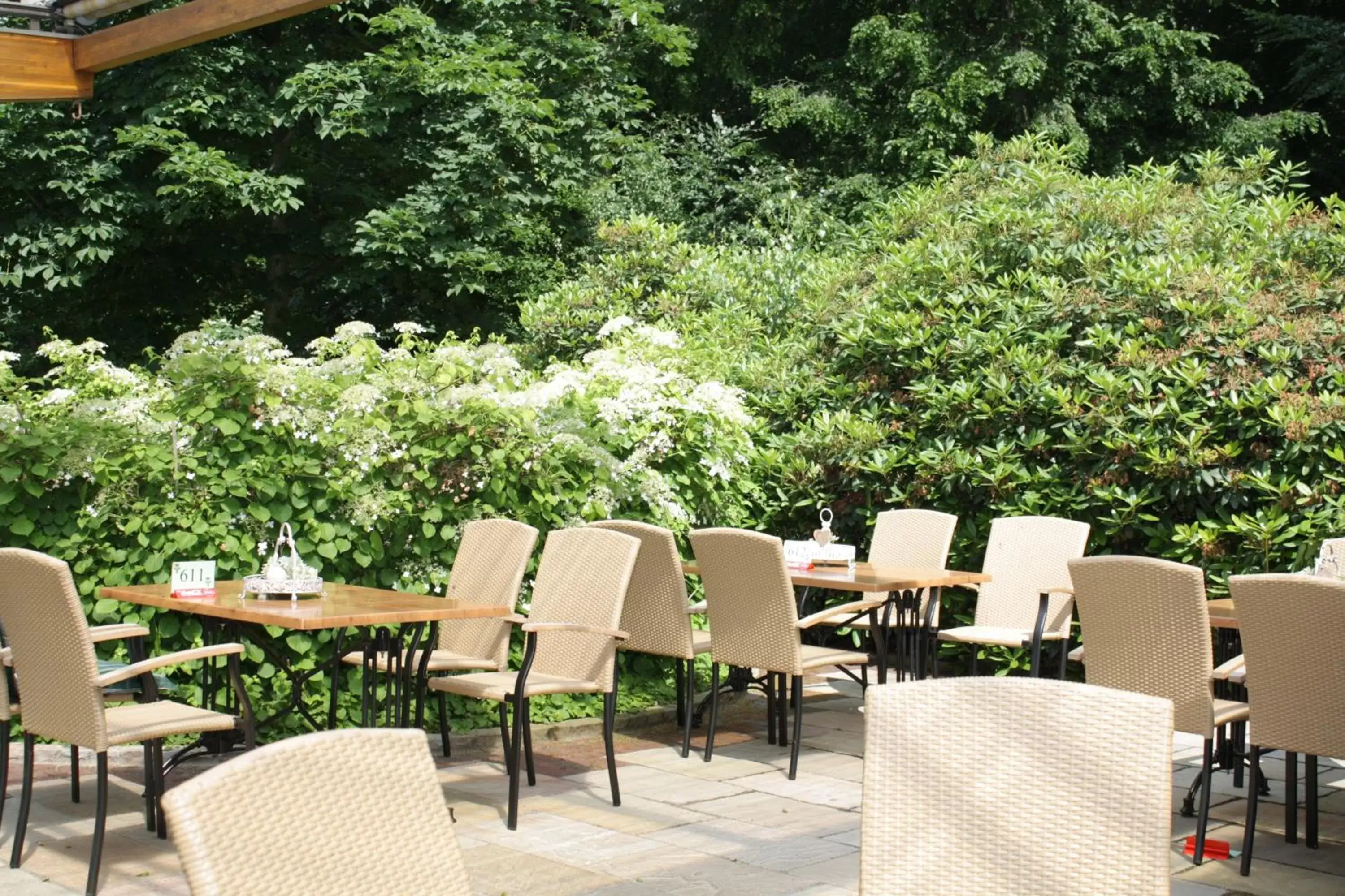 Garden, Restaurant/Places to Eat in Hotel Backenköhler