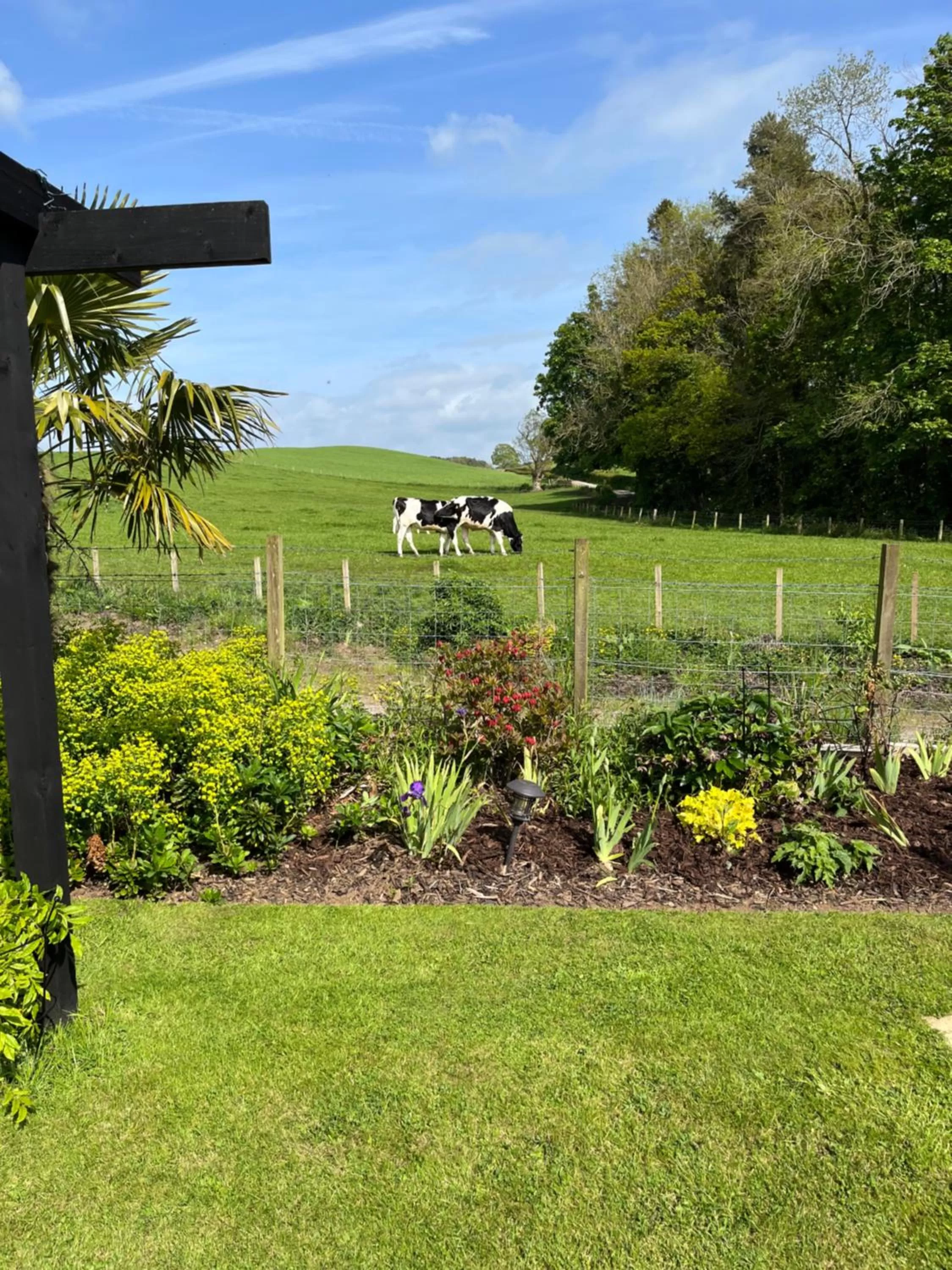 Garden in Retreat at The Knowe Auchincruive Estate