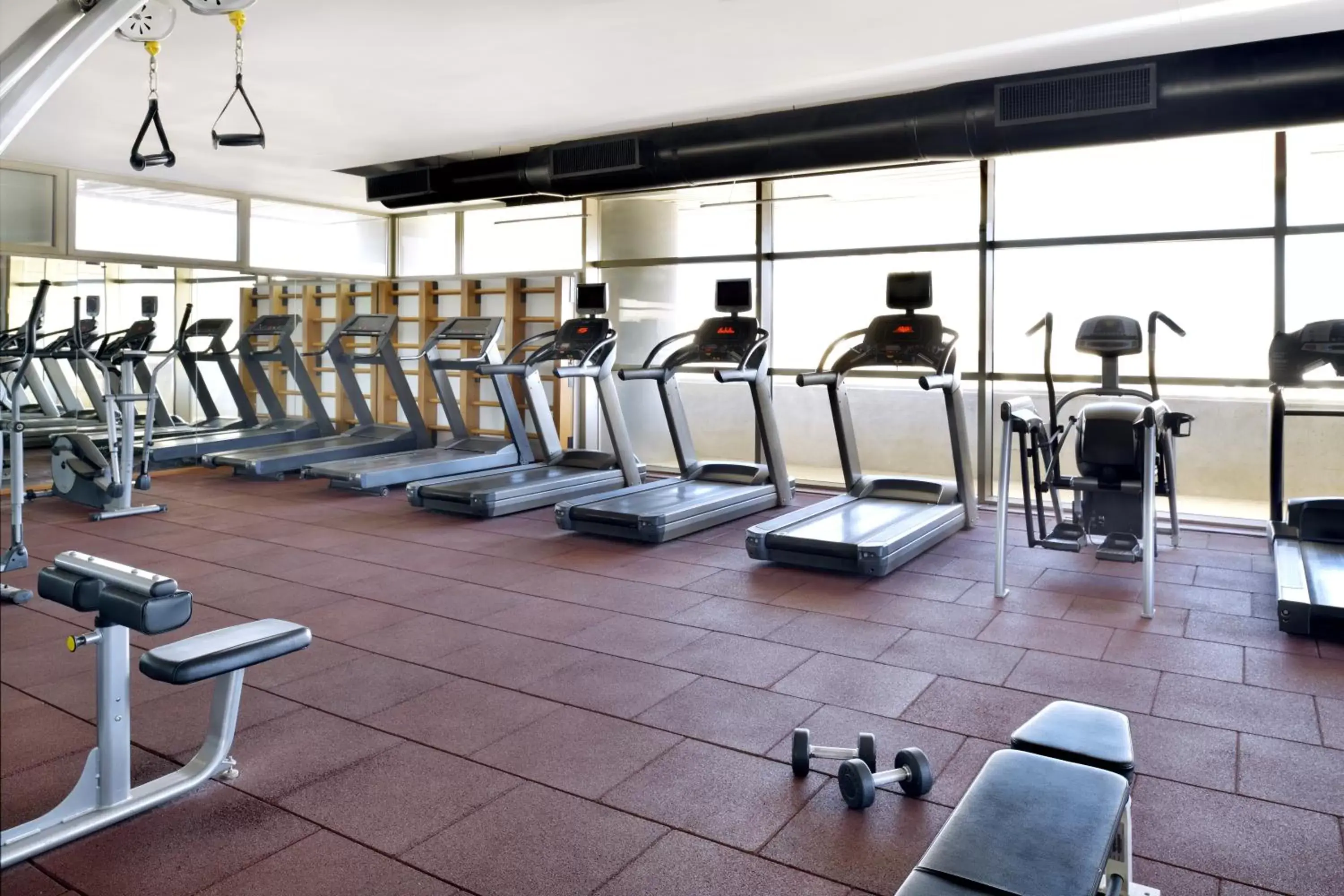 Fitness centre/facilities, Fitness Center/Facilities in Mövenpick Hotel Amman