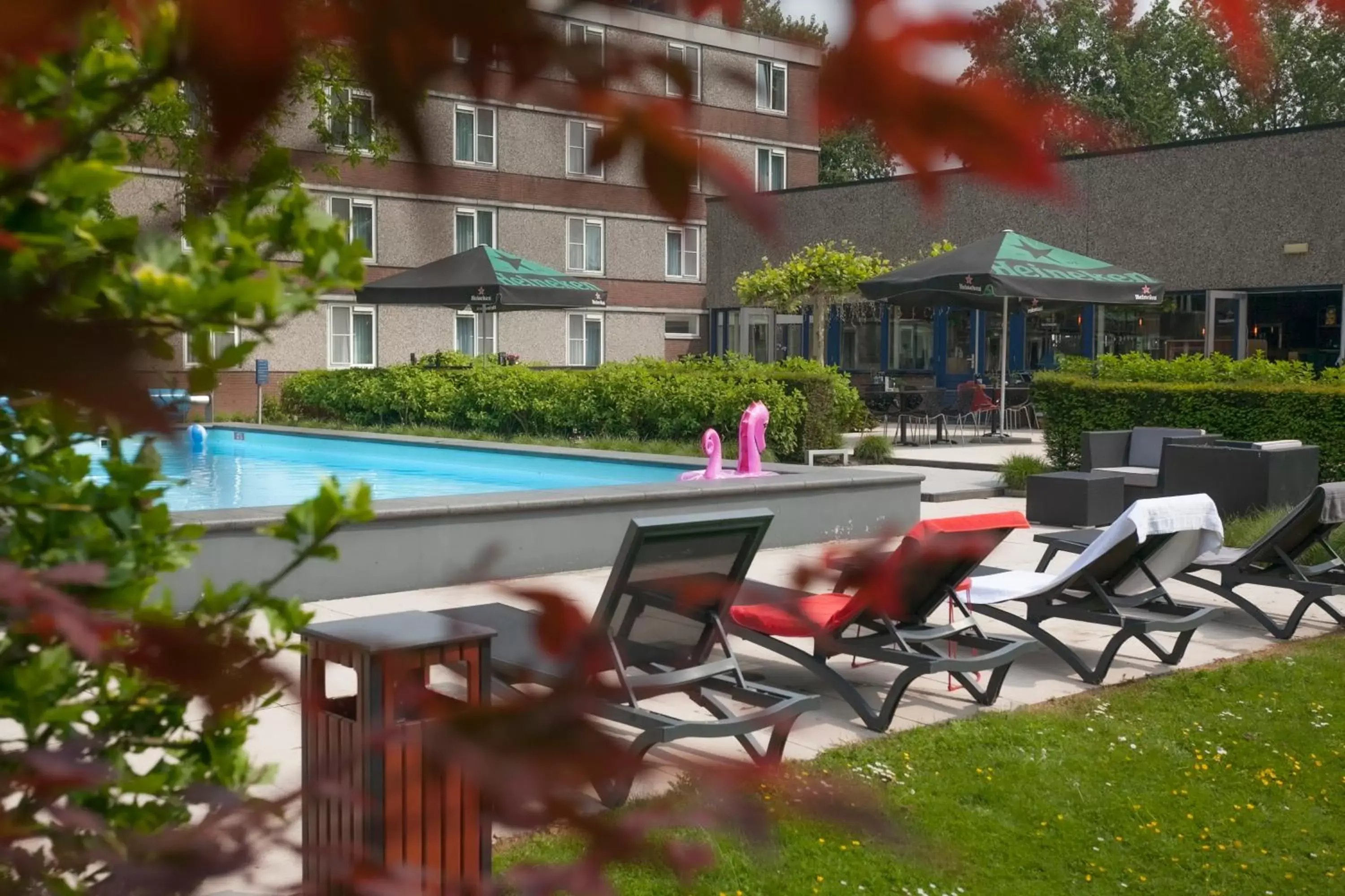 Patio, Swimming Pool in Novotel Rotterdam - Schiedam