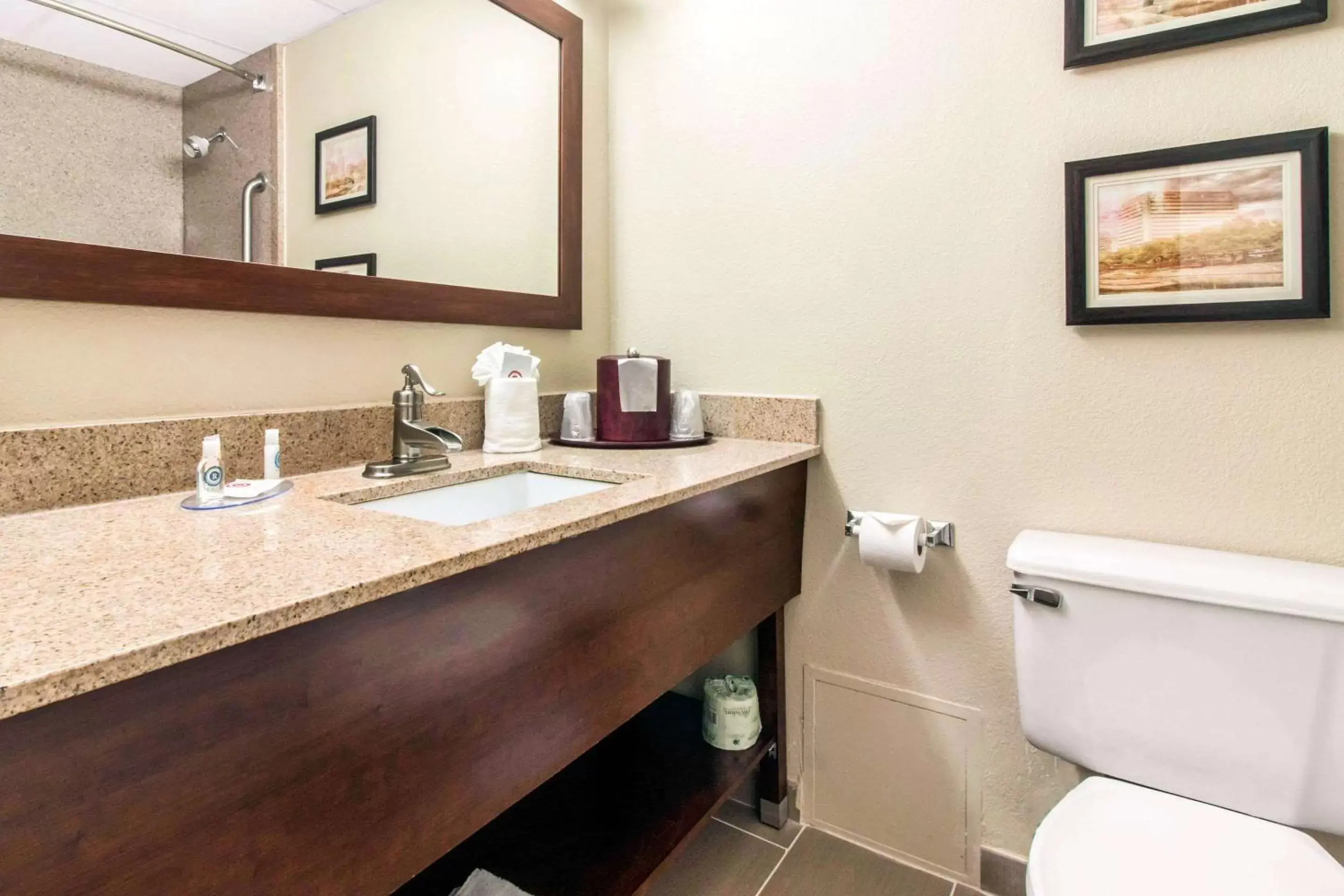 Bathroom in Comfort Inn & Suites Omaha