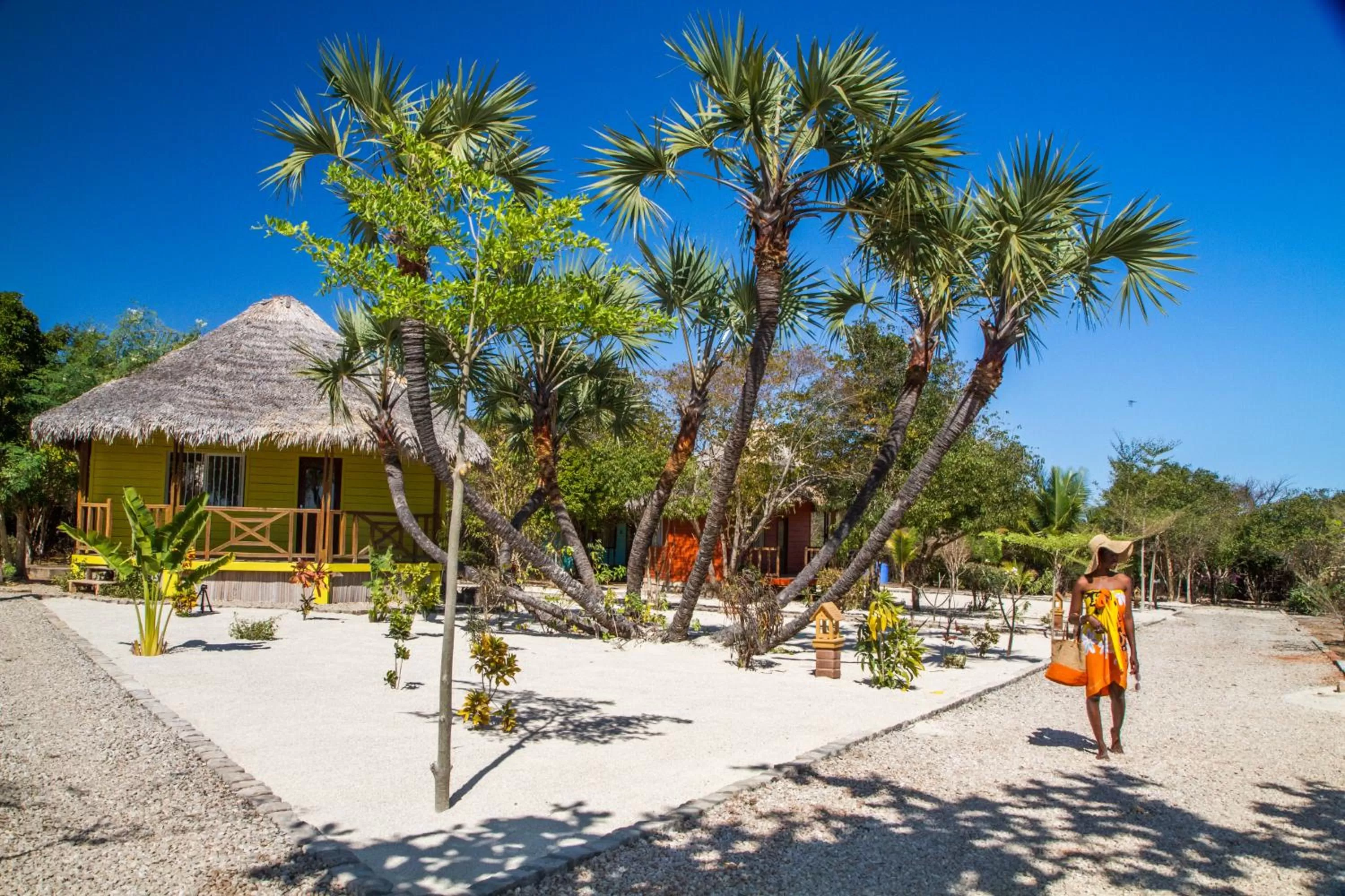 Garden view in Antsanitia Resort