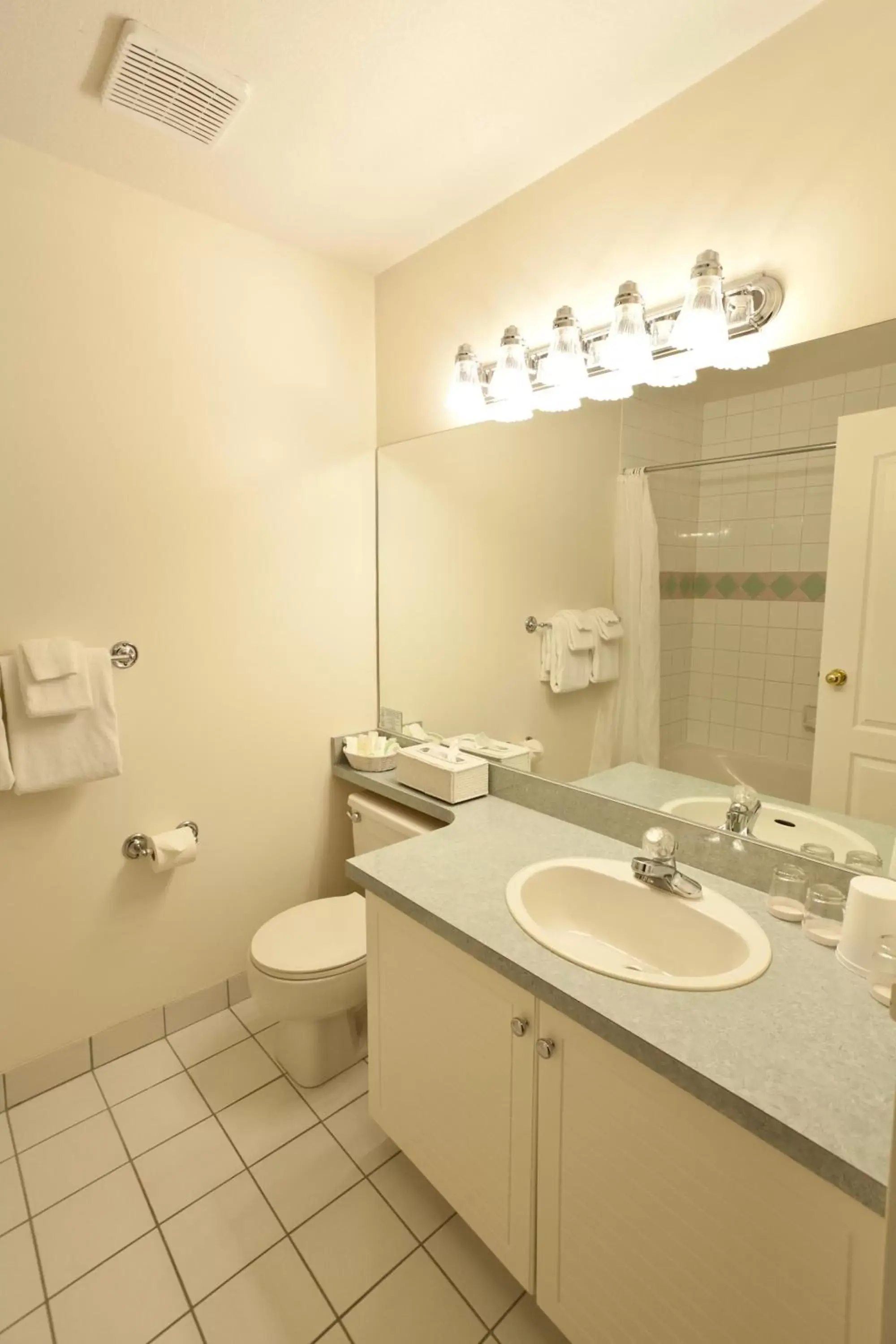 Toilet, Bathroom in South Thompson Inn & Conference Centre