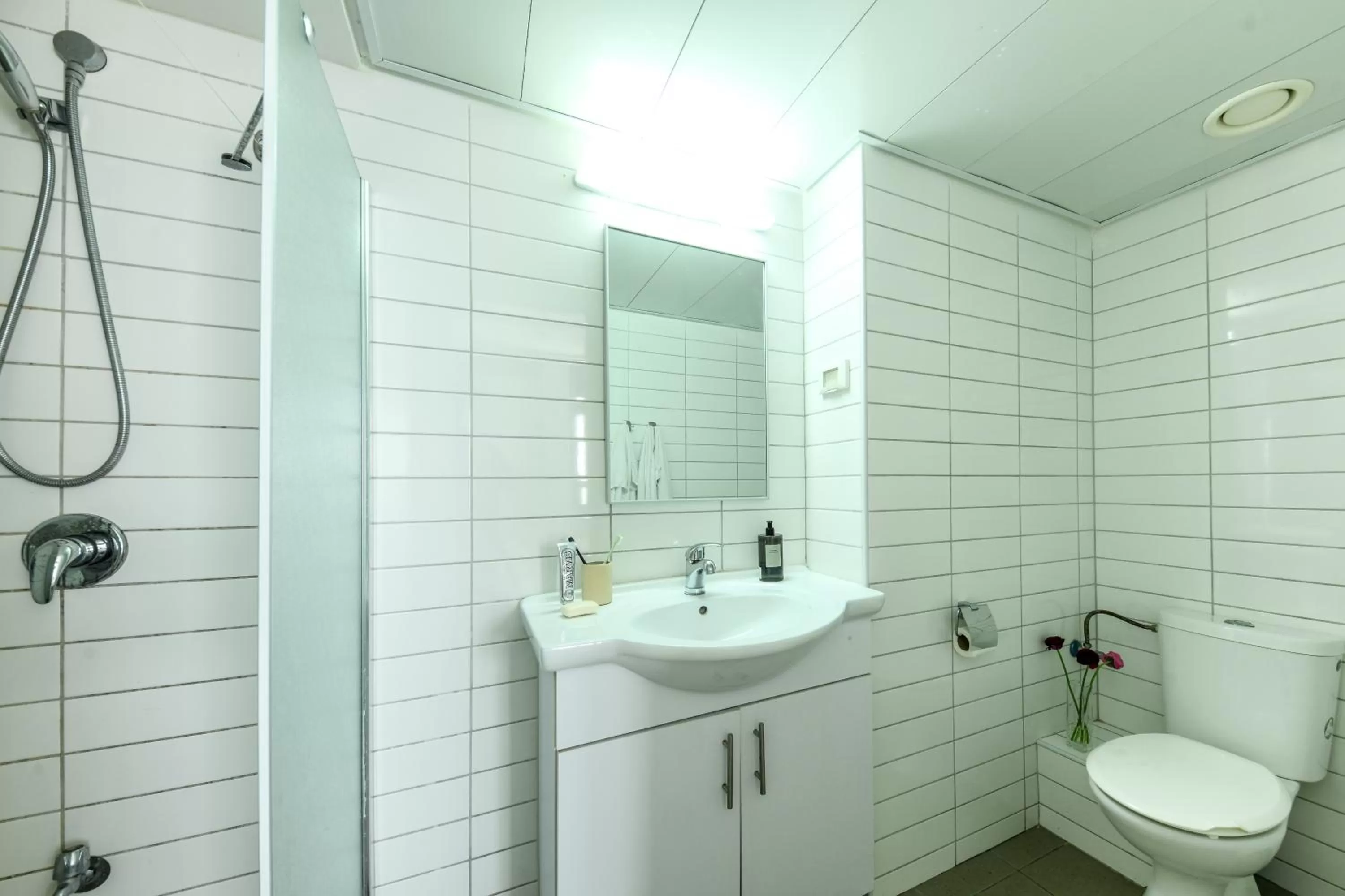 Shower in דירות גני תערוכה - TLV university apartments near Expo by Sea N' Rent