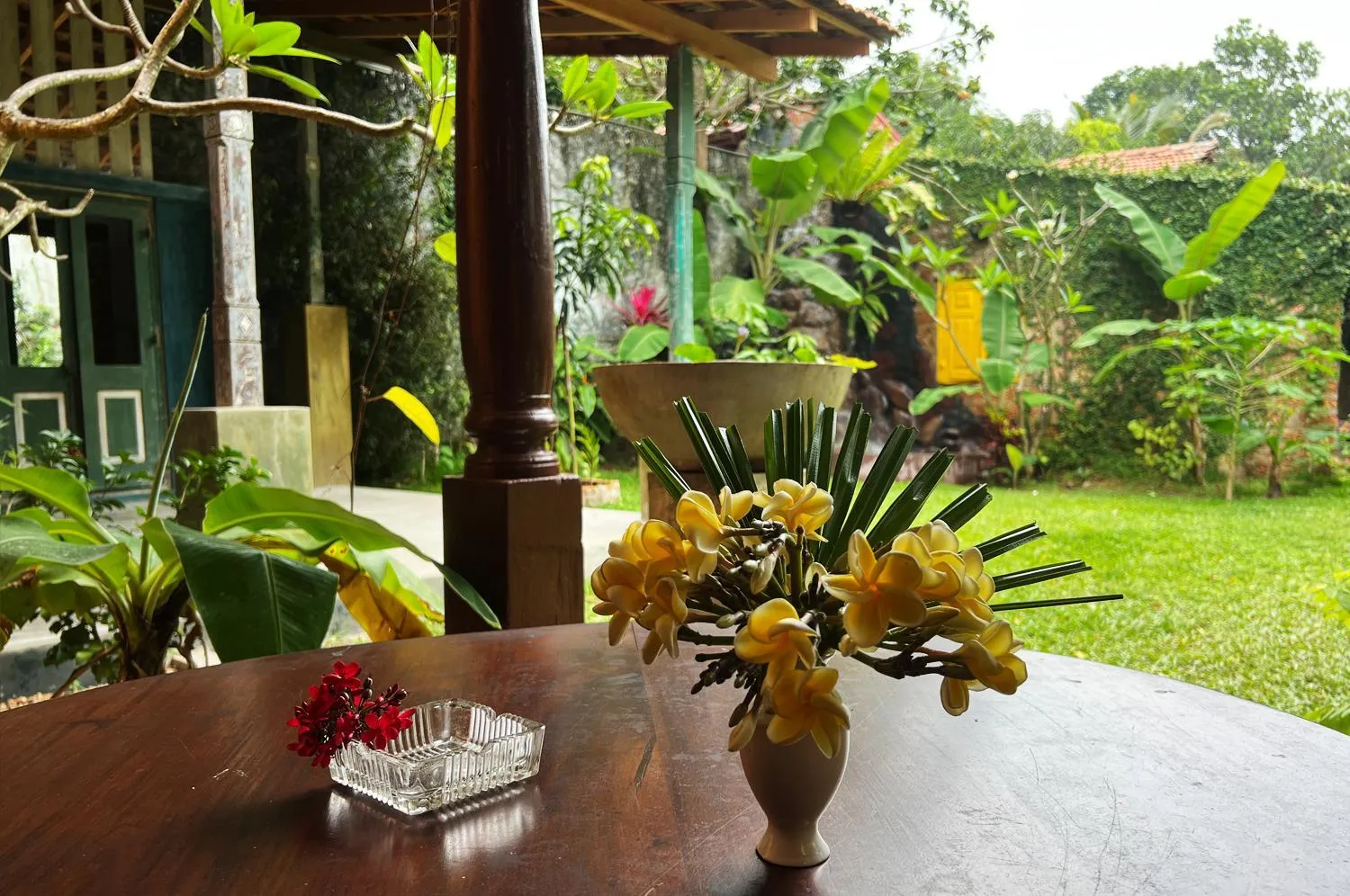 Garden in Gomez Place