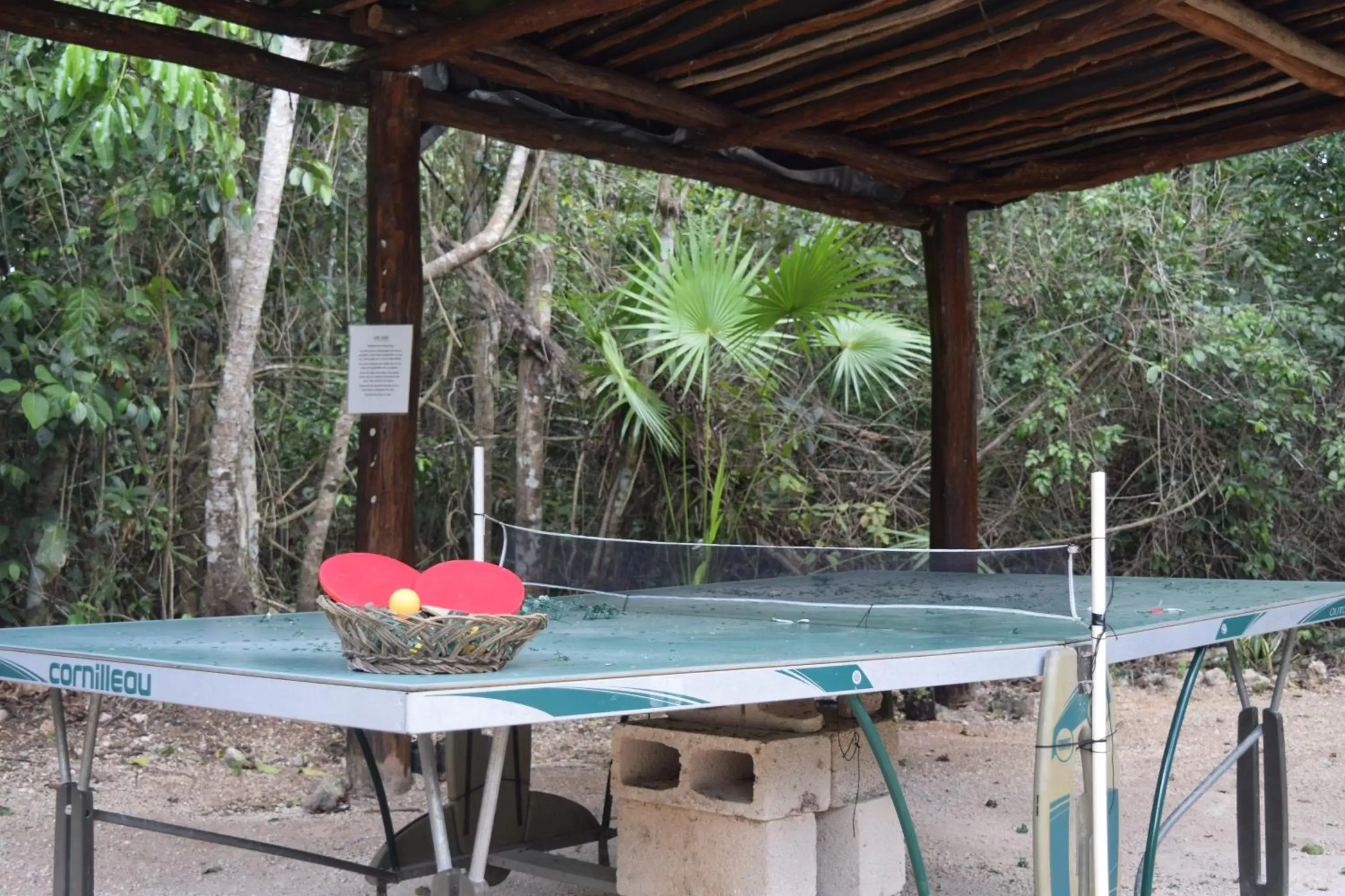 Table tennis, Swimming Pool in Jolie Jungle Eco Hotel