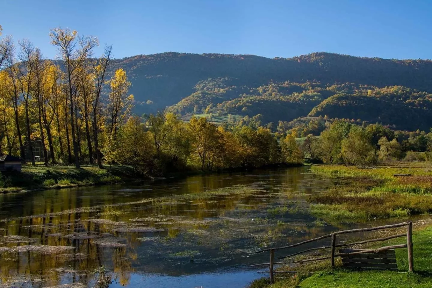 Bed and Breakfast Family Djukic