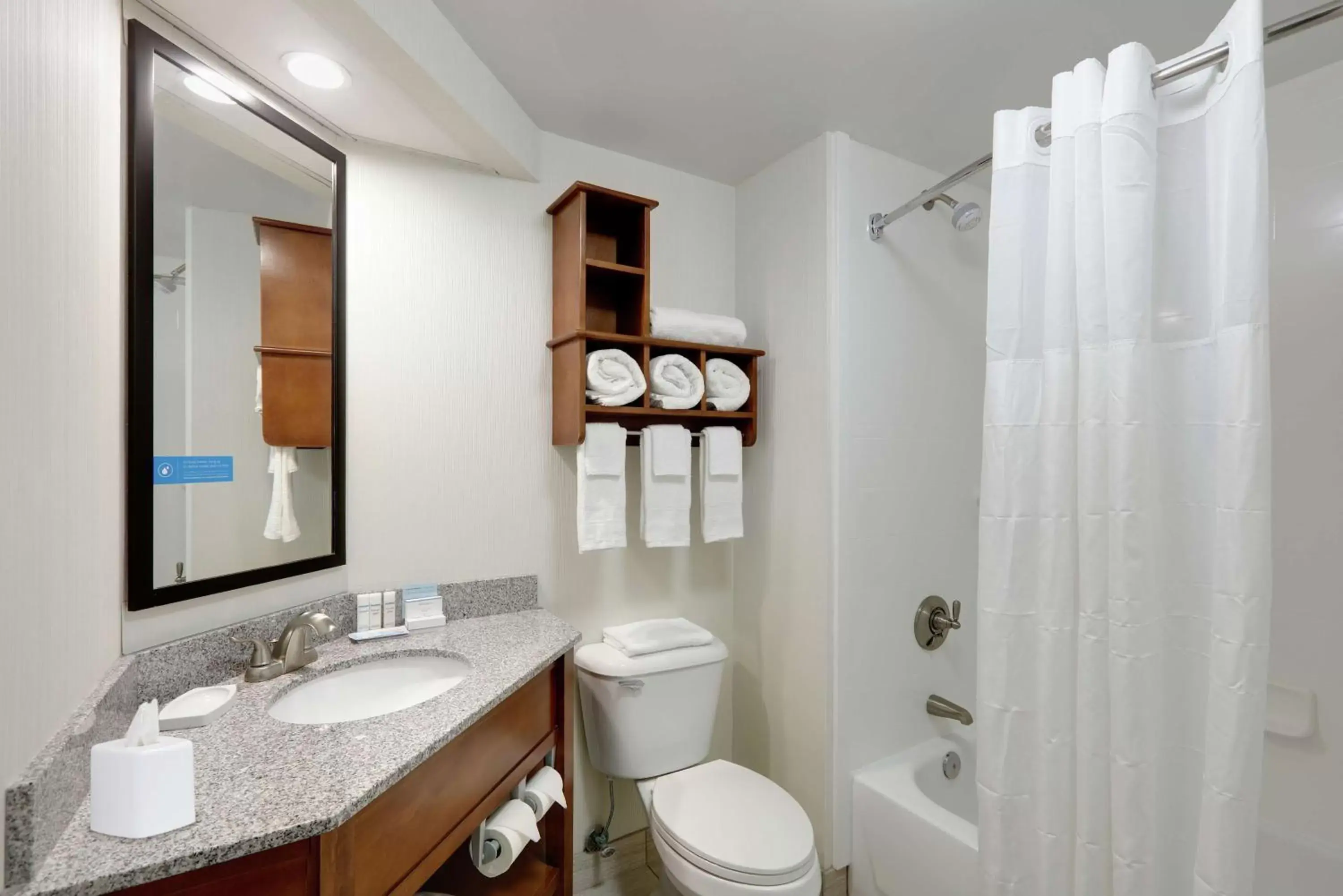 Bathroom in Hampton Inn & Suites Mooresville