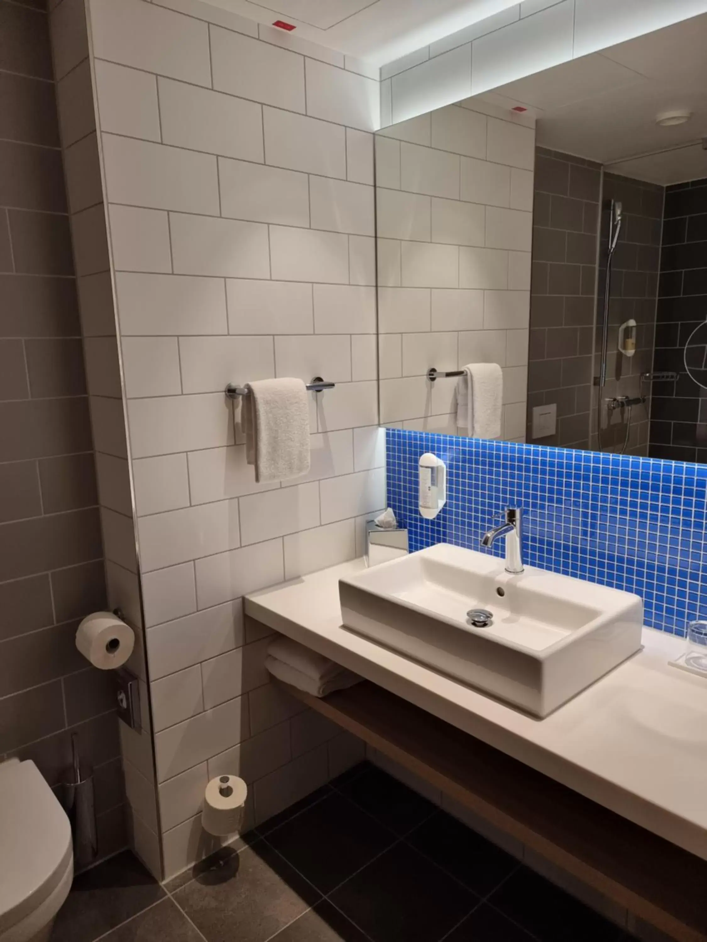 Bathroom in Holiday Inn Express - Wiesbaden, an IHG Hotel