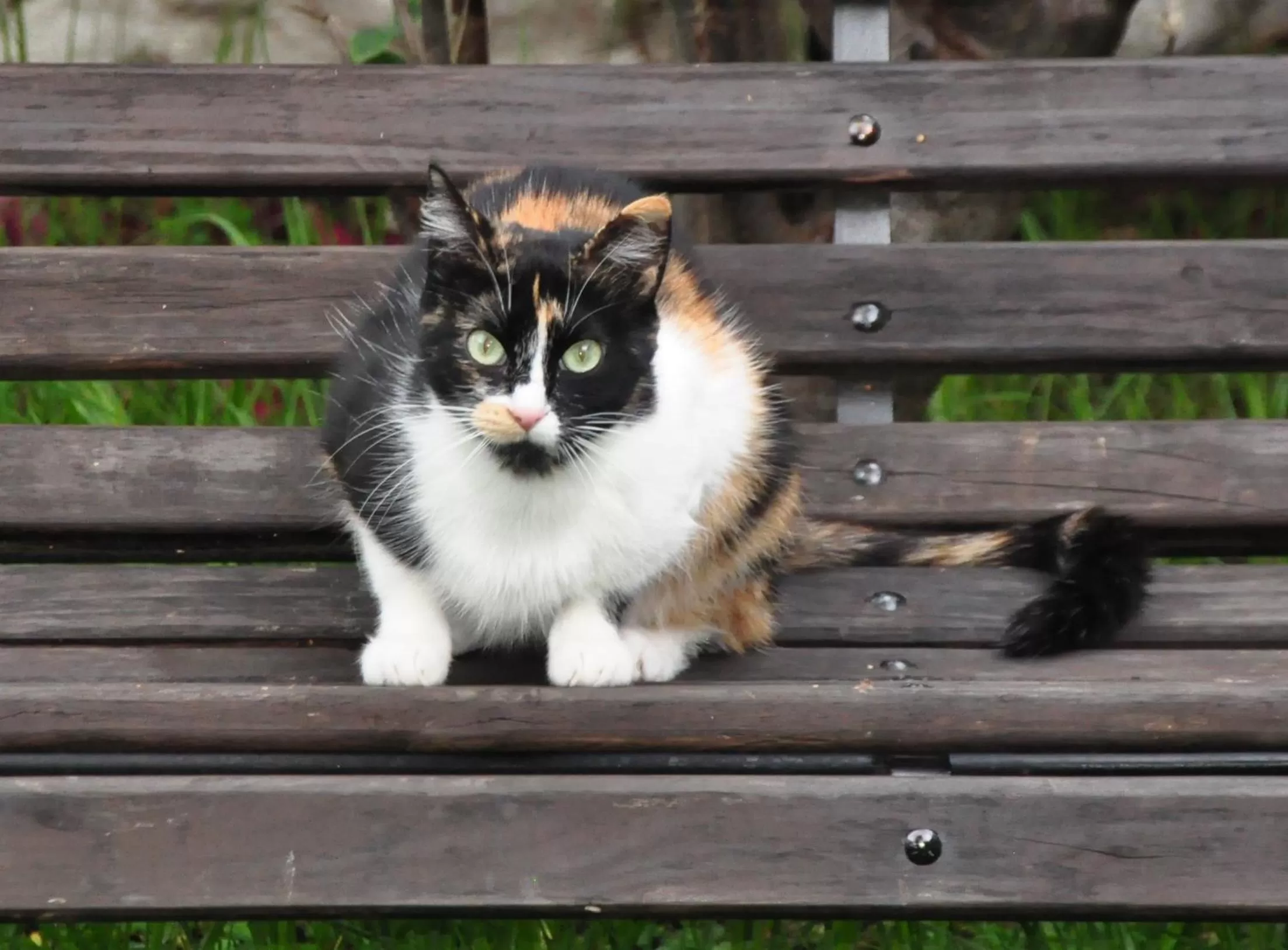Hotel Museo la Posada del Molino