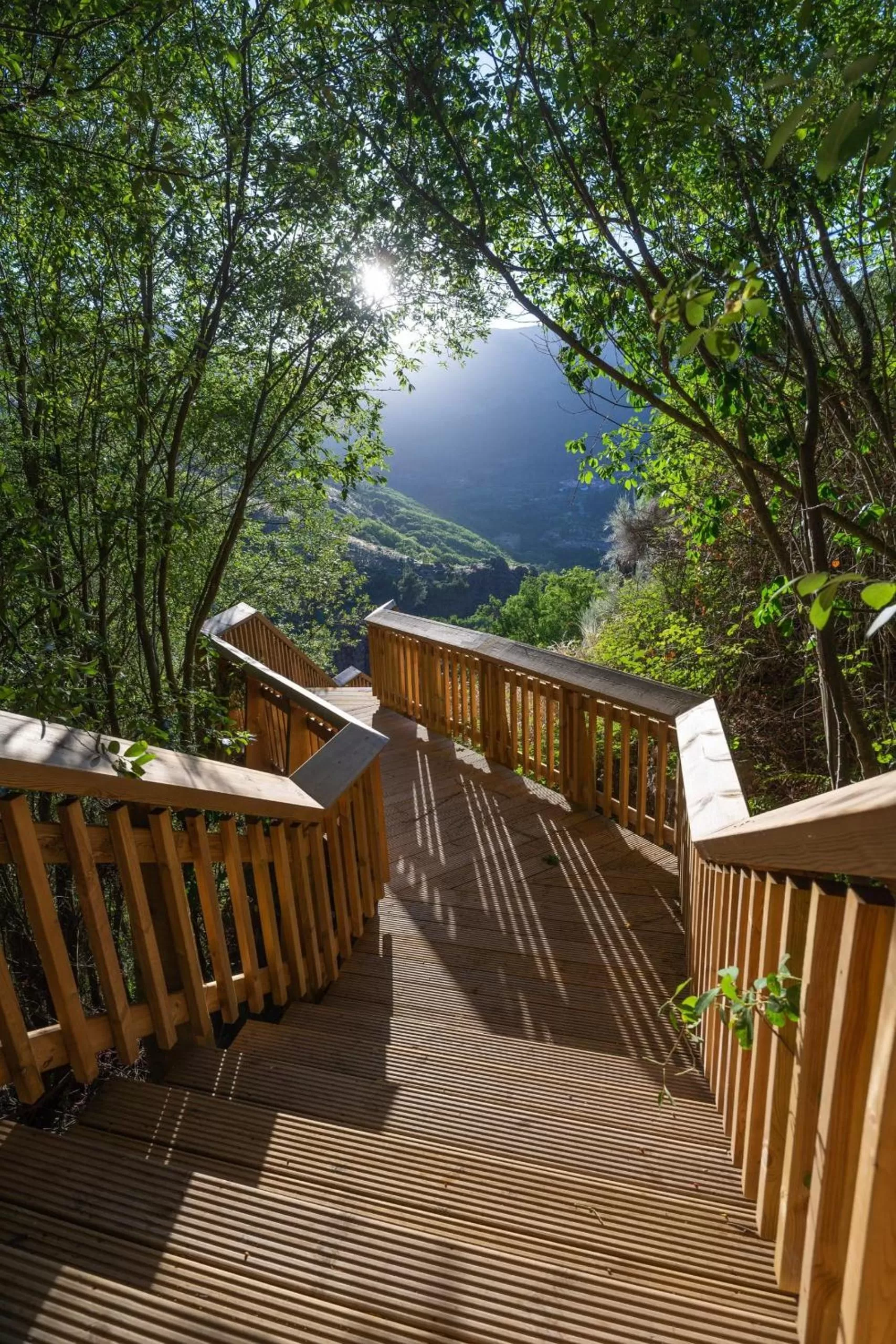 Natural landscape in Casa de São Lourenço - Burel Panorama Hotel - member of Relais & Châteaux