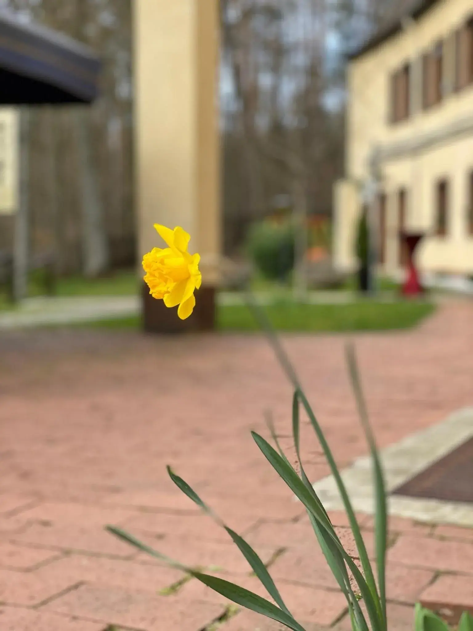 Garden view in Parkhotel Zirndorf