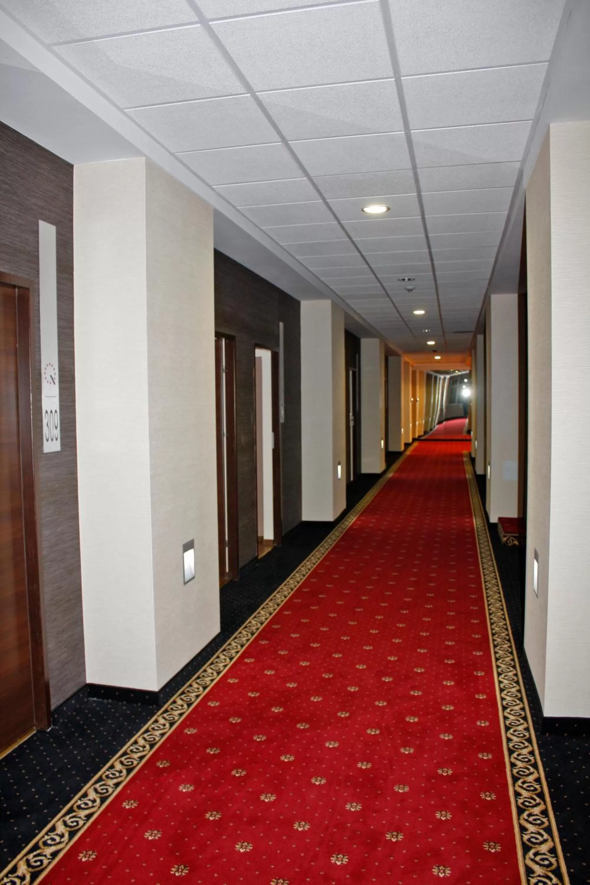 Decorative detail in Boutique Hotel's Sosnowiec