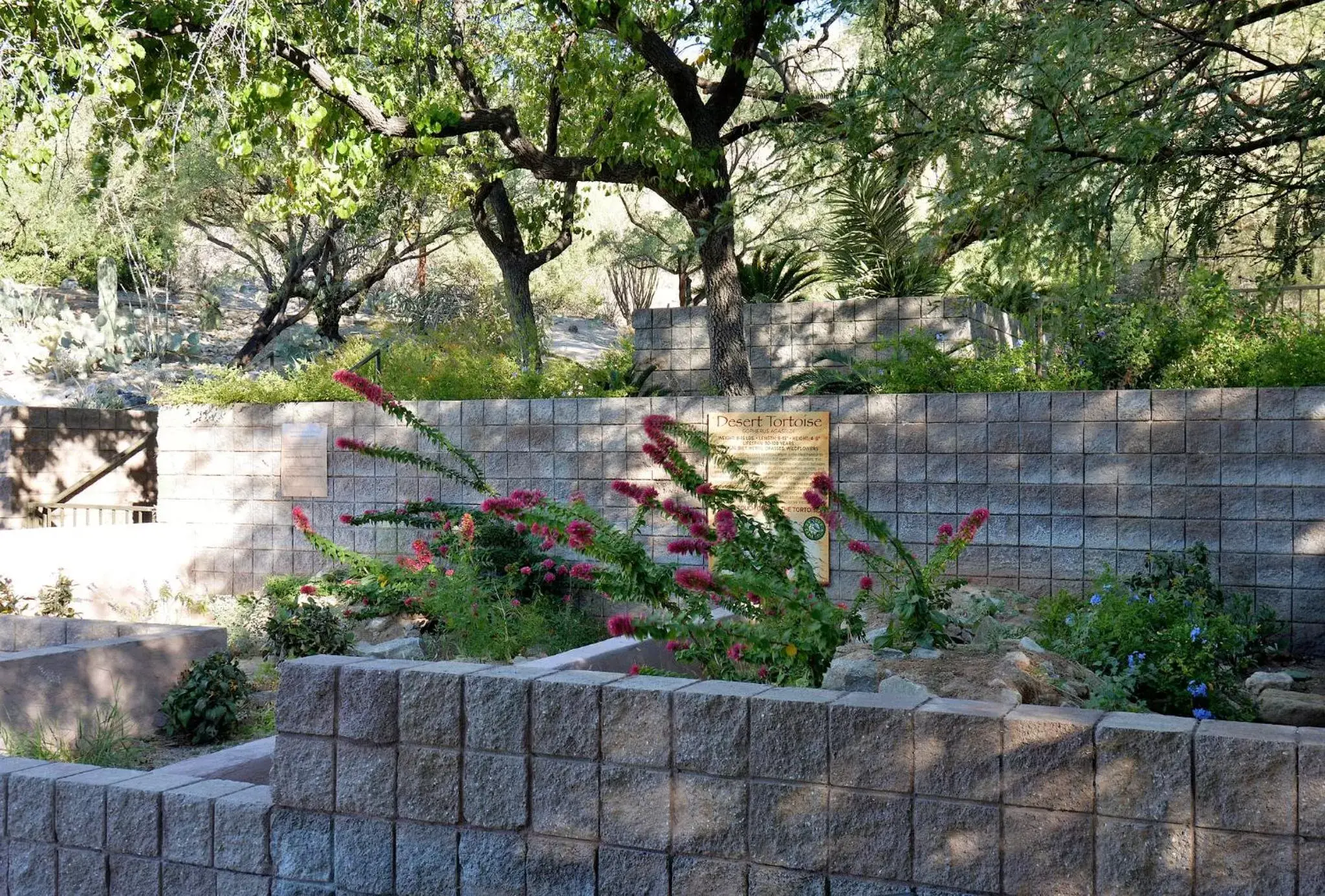 Property building in Loews Ventana Canyon Resort