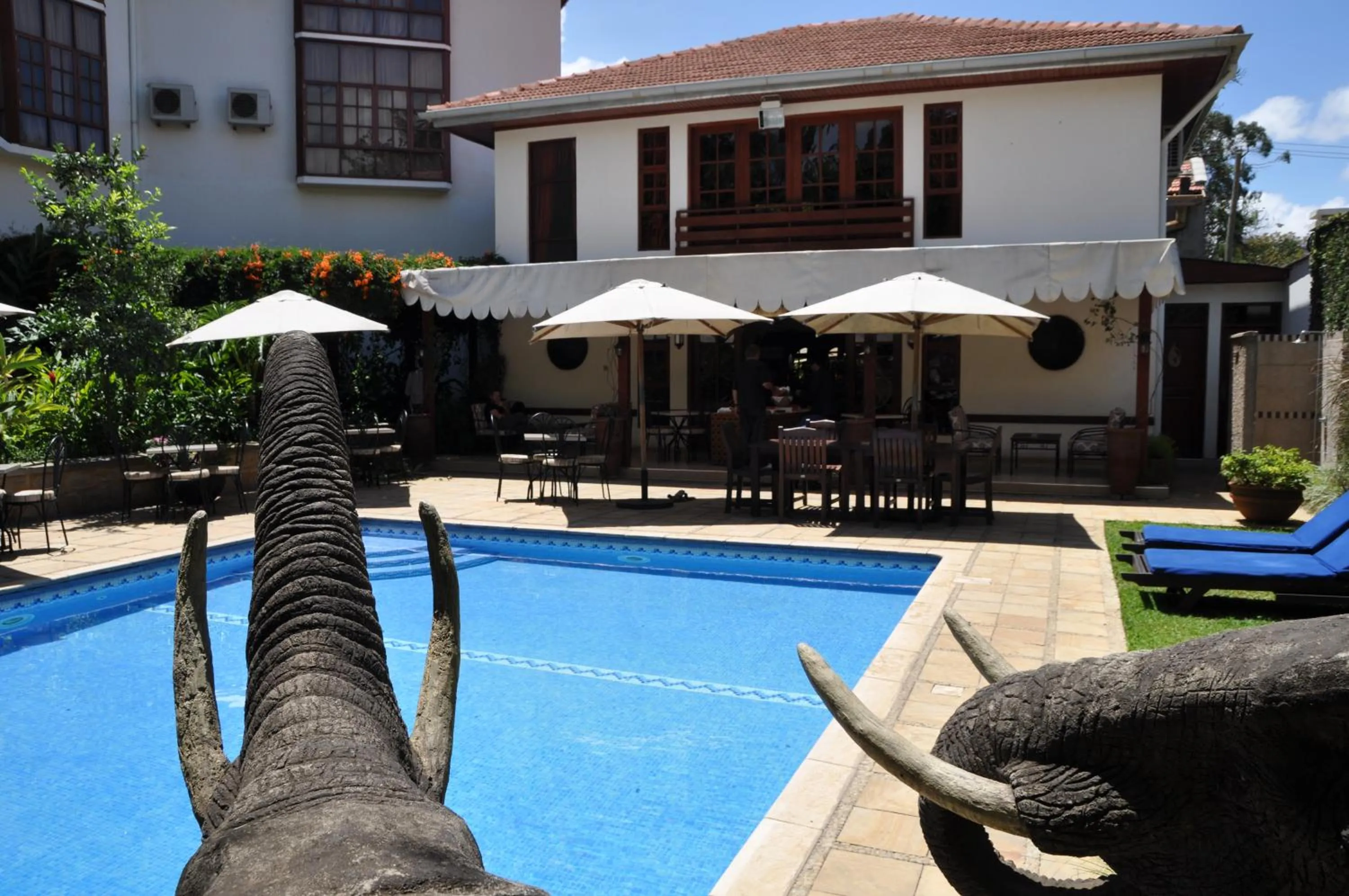 Lounge or bar in African Tulip Hotel