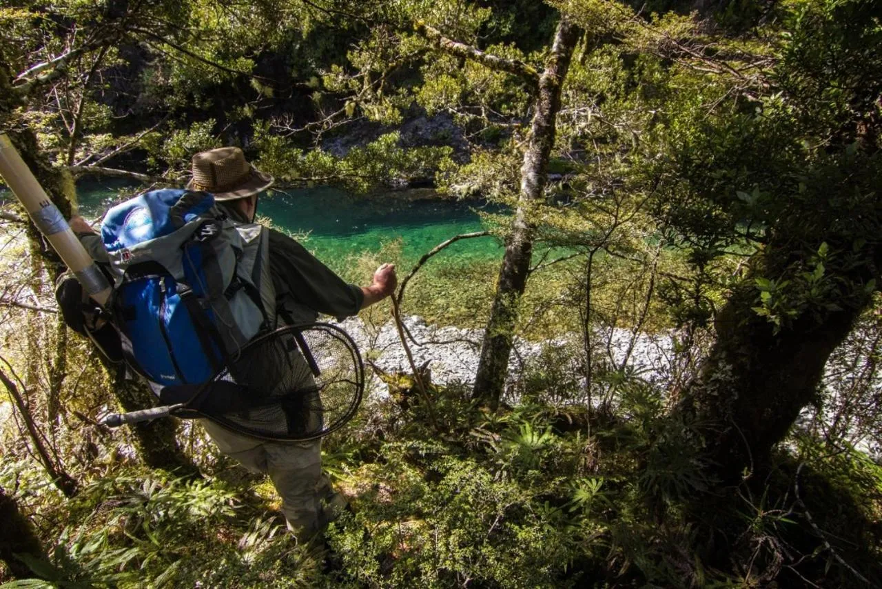 Hiking in Tongariro Lodge