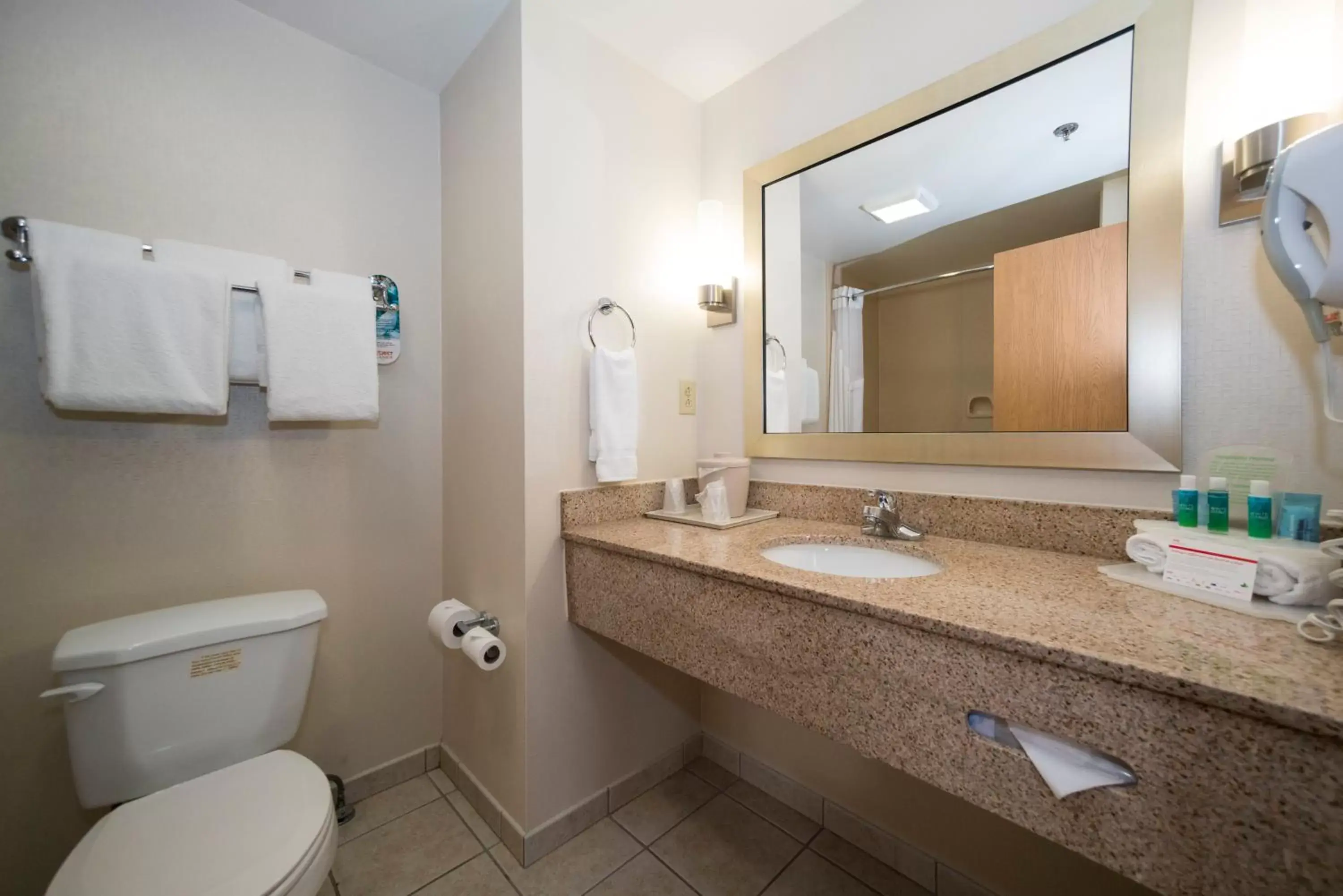 Photo of the whole room, Bathroom in Holiday Inn Express Vicksburg, an IHG Hotel