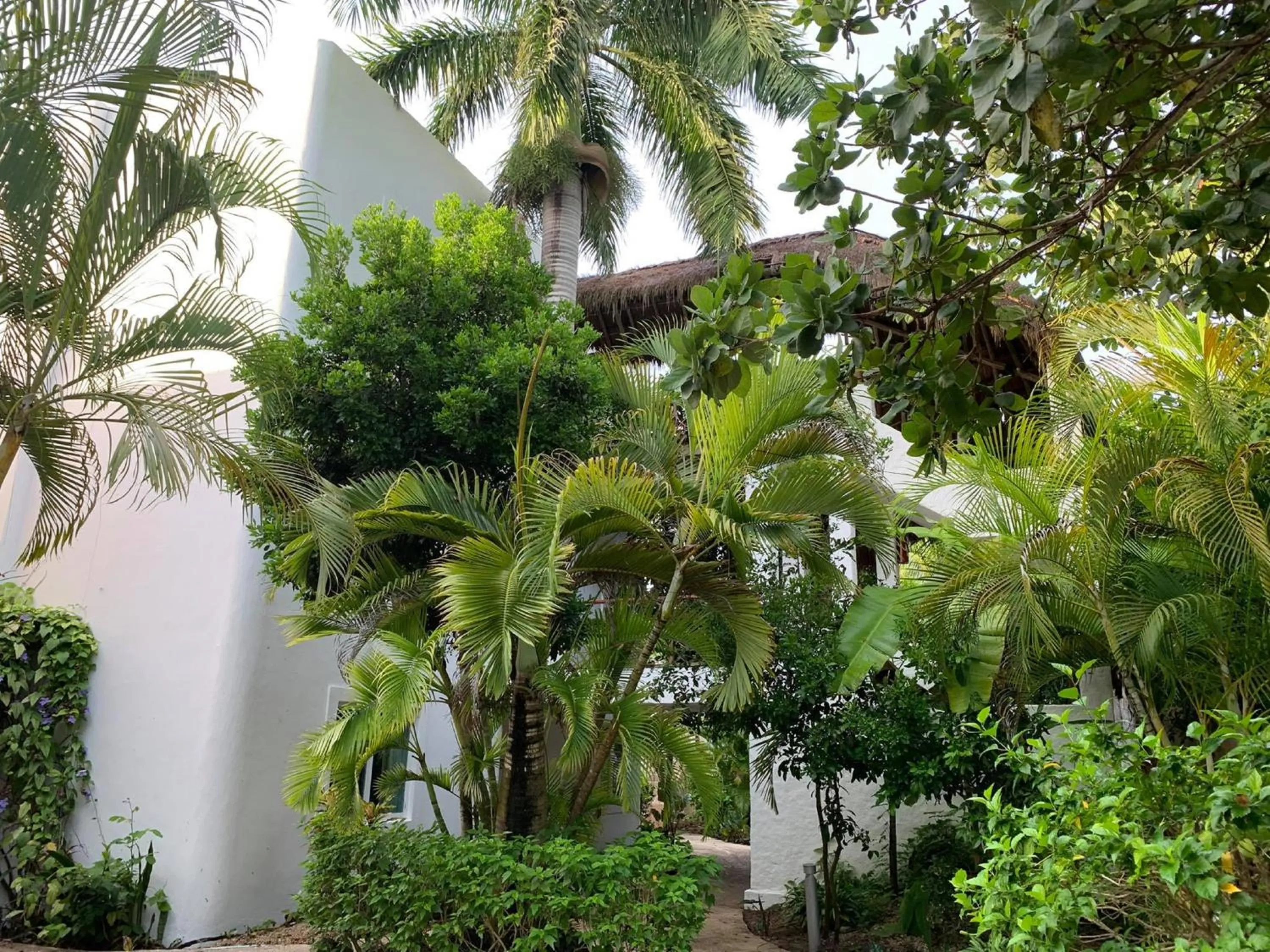 Garden in Villas Bakalar