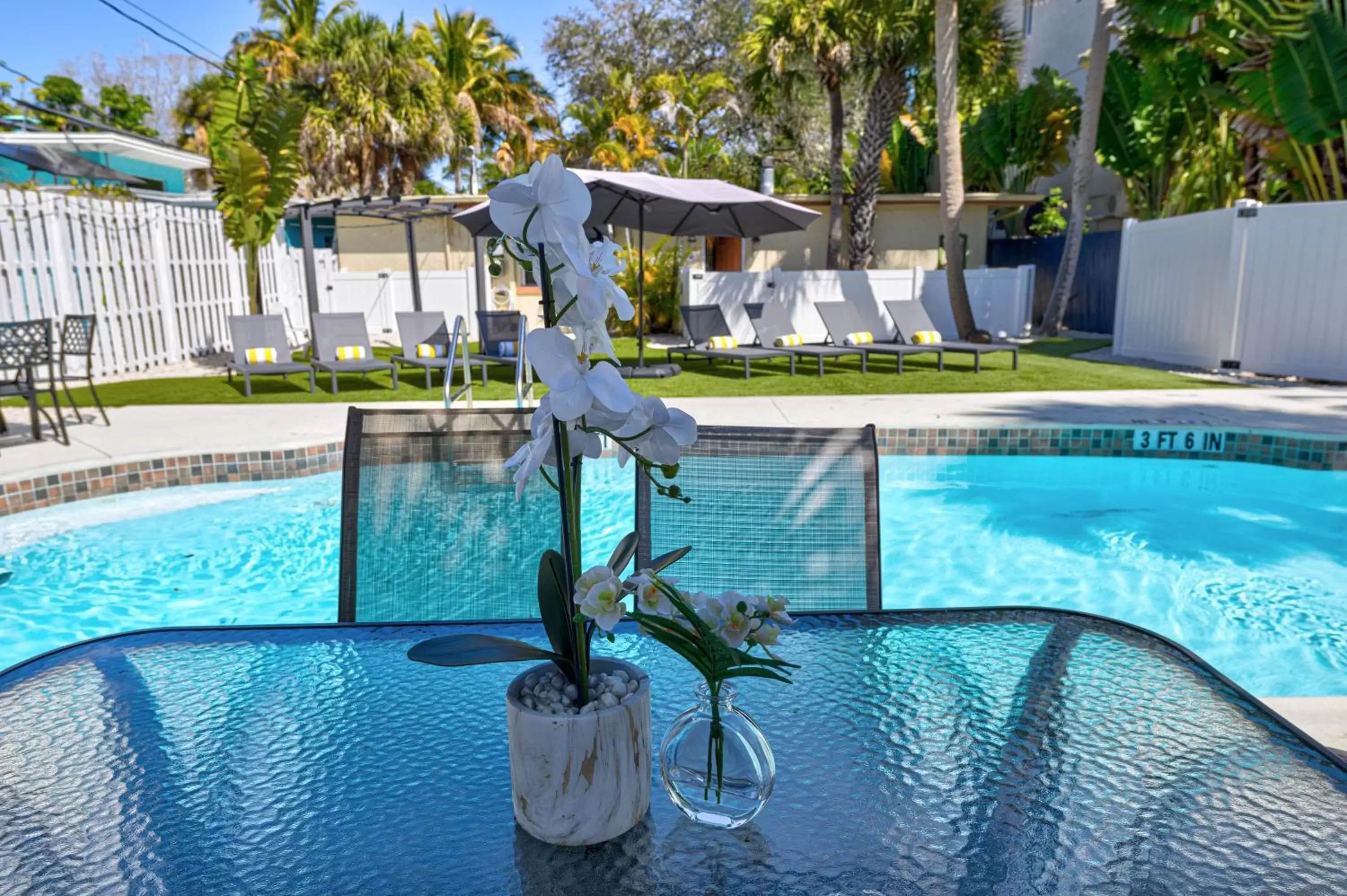 Swimming Pool in The Ringling Beach House