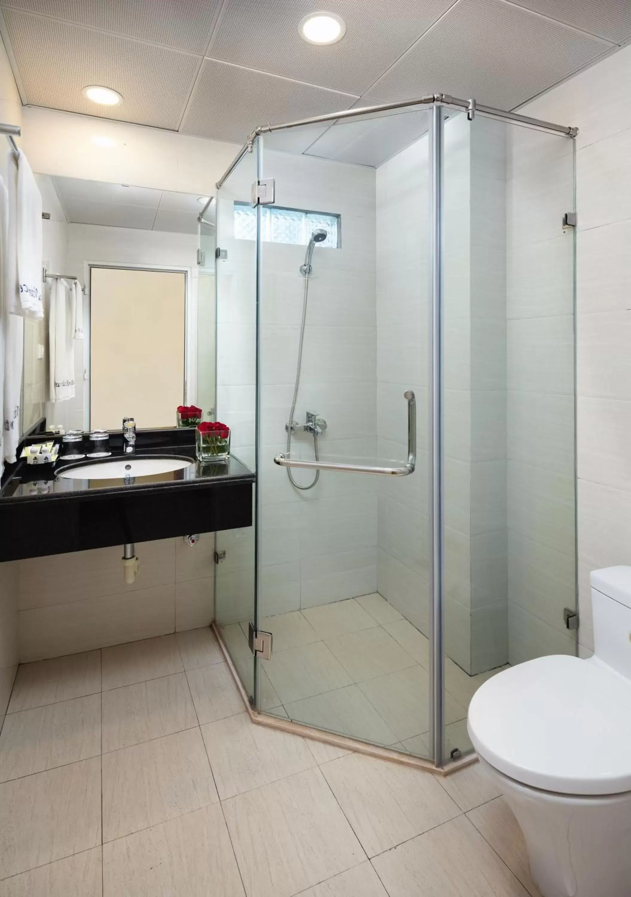 Shower, Bathroom in Dream Central Hotel