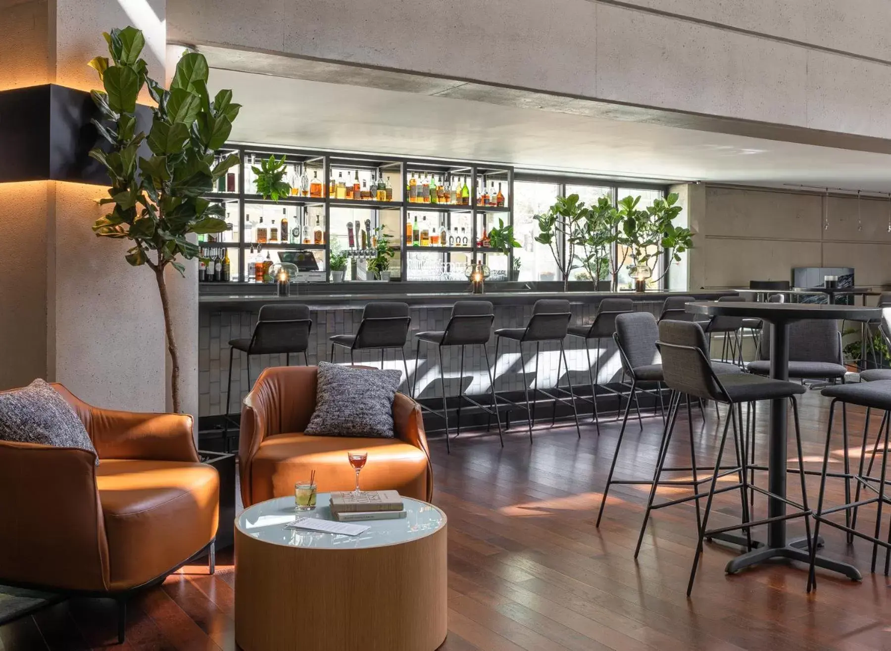 Lounge or bar, Lounge/Bar in Hotel Murano
