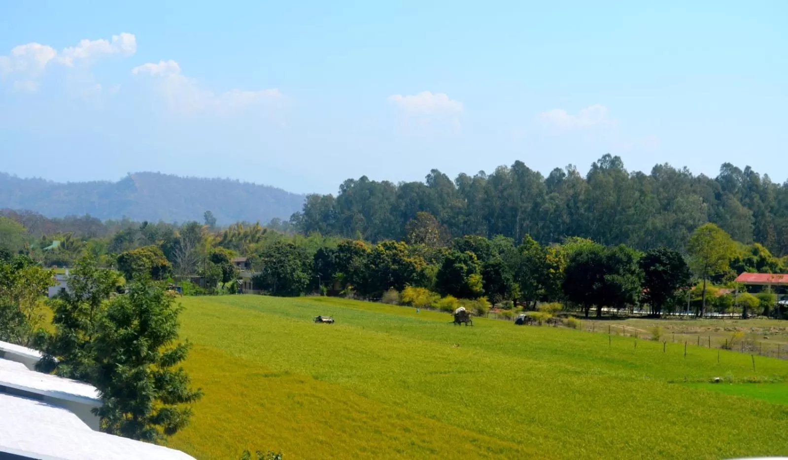 Neighbourhood in Corbett Treat Resort By Atya Hotels