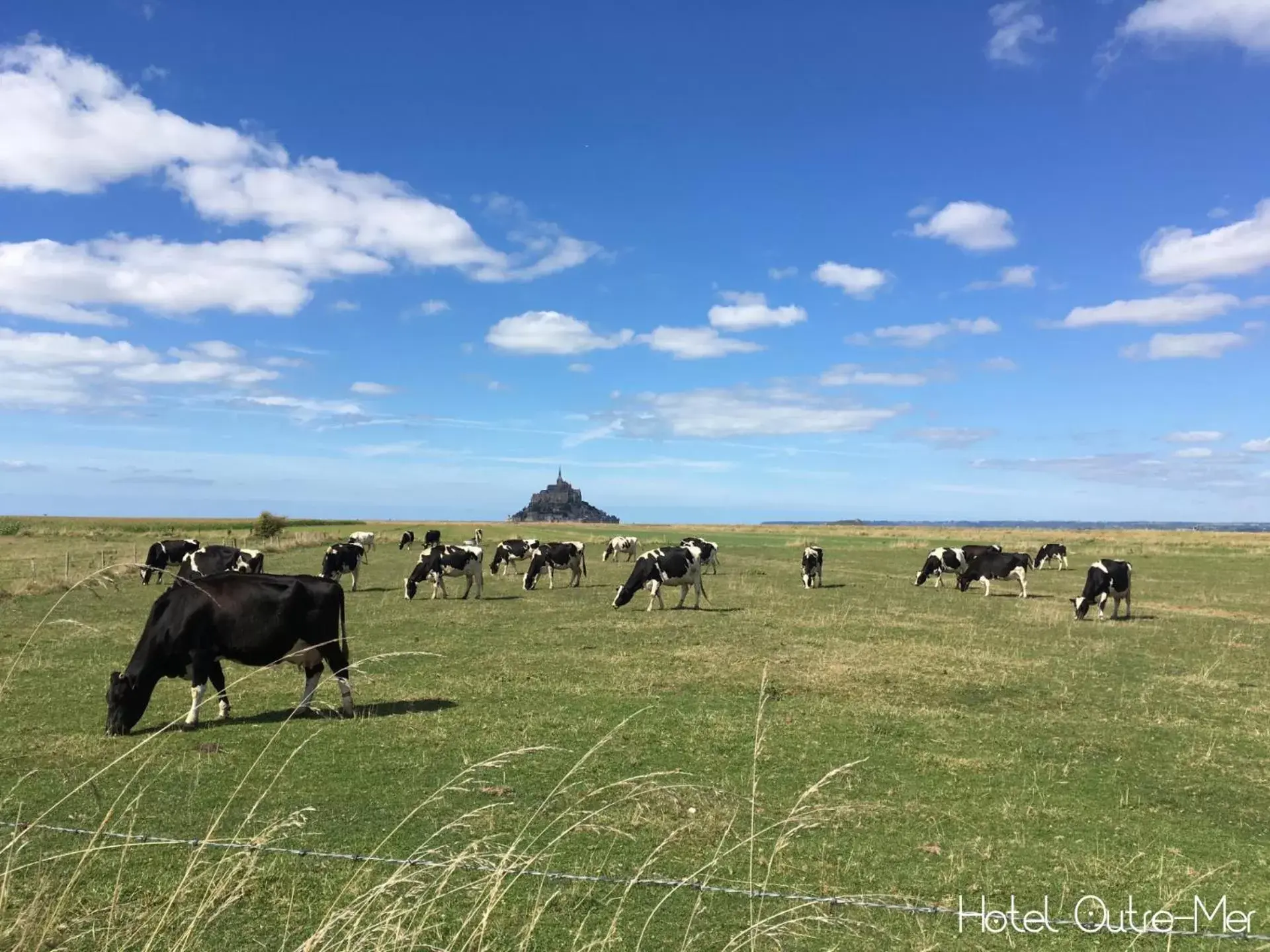 Nearby landmark, Other Animals in Hôtel Outre-Mer - Villa Le Couchant