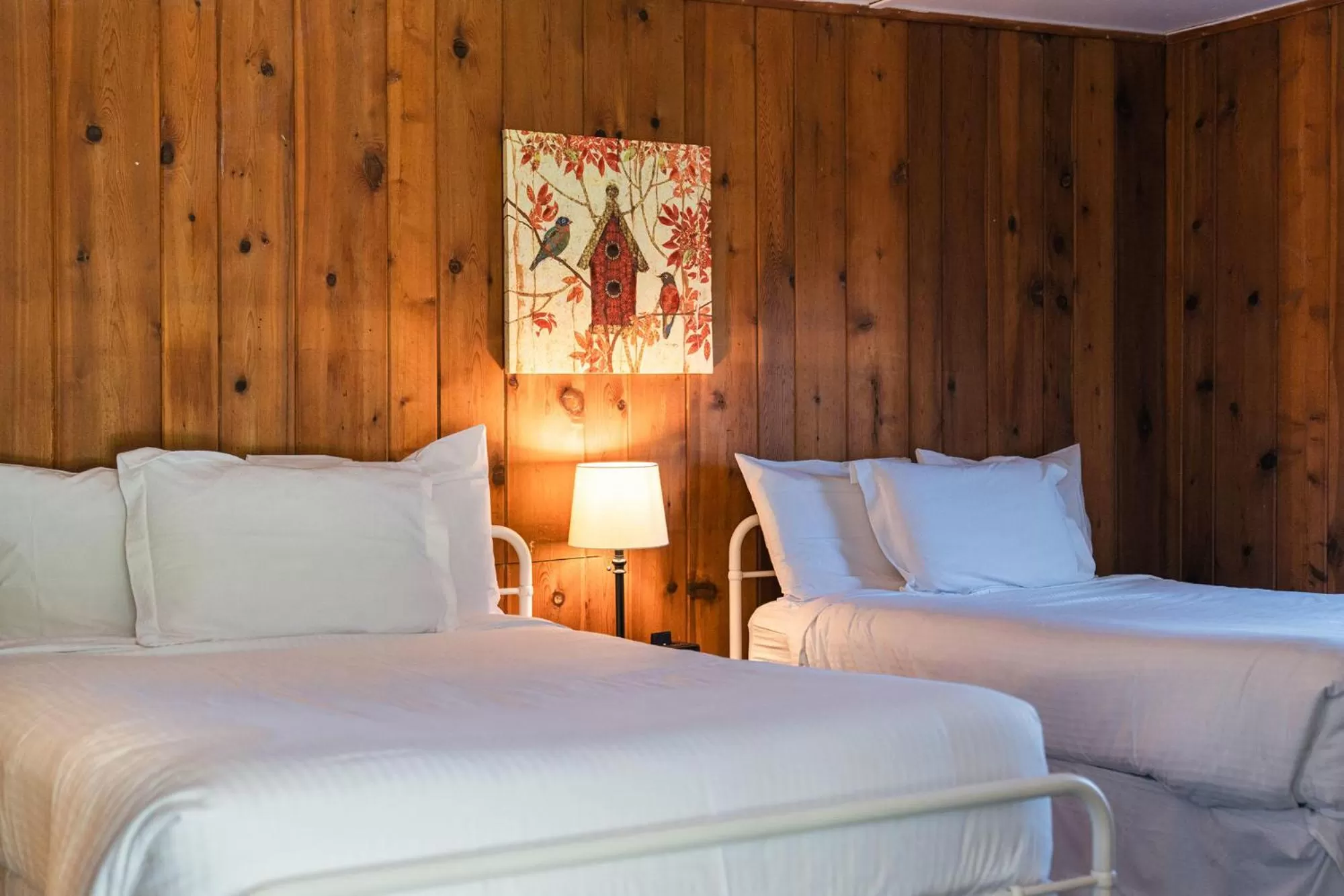 Bed in Whispering Winds Motel