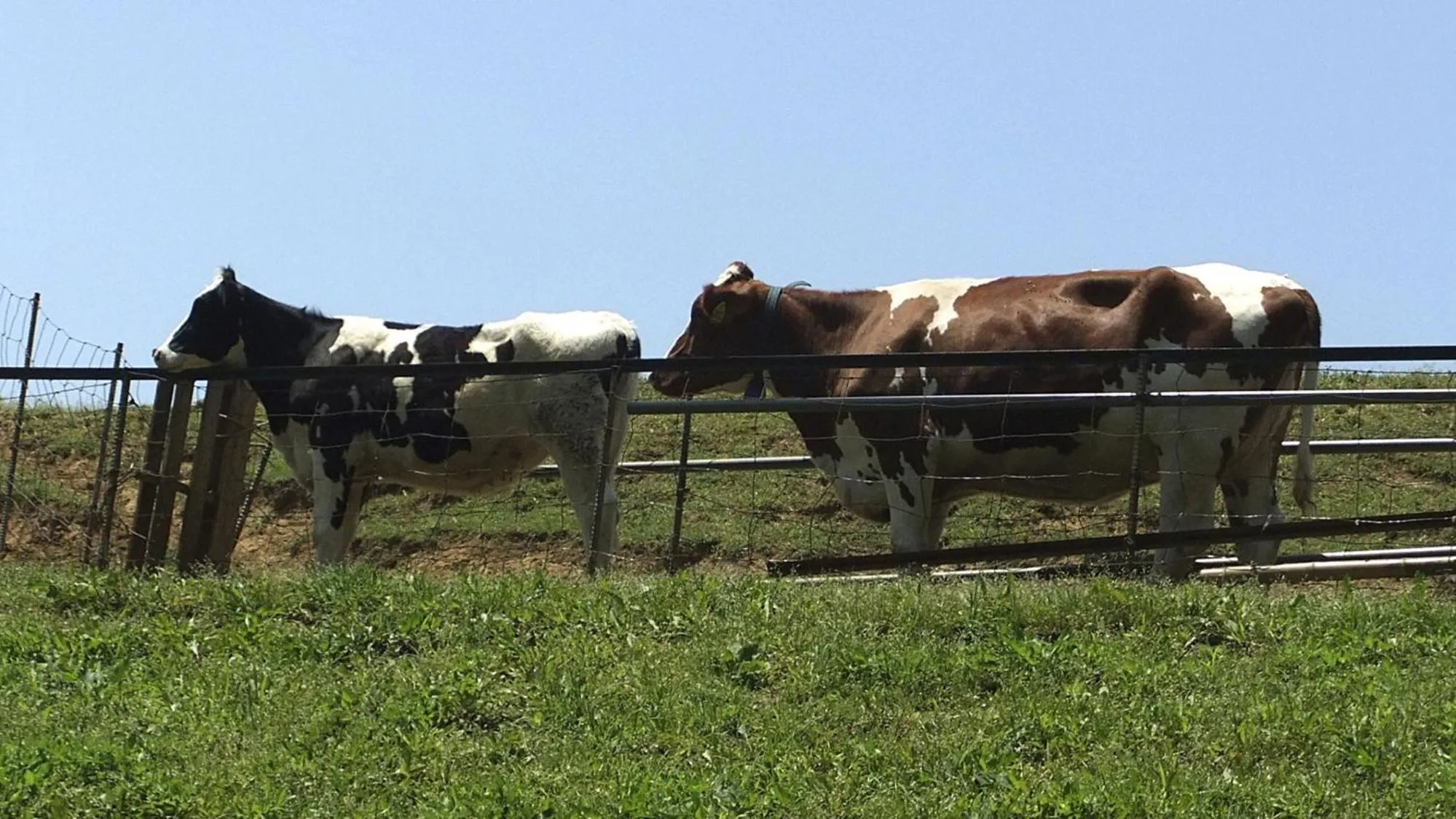 Nearby landmark in Toyoko Inn Tokyo Hachioji-eki Kita-guchi