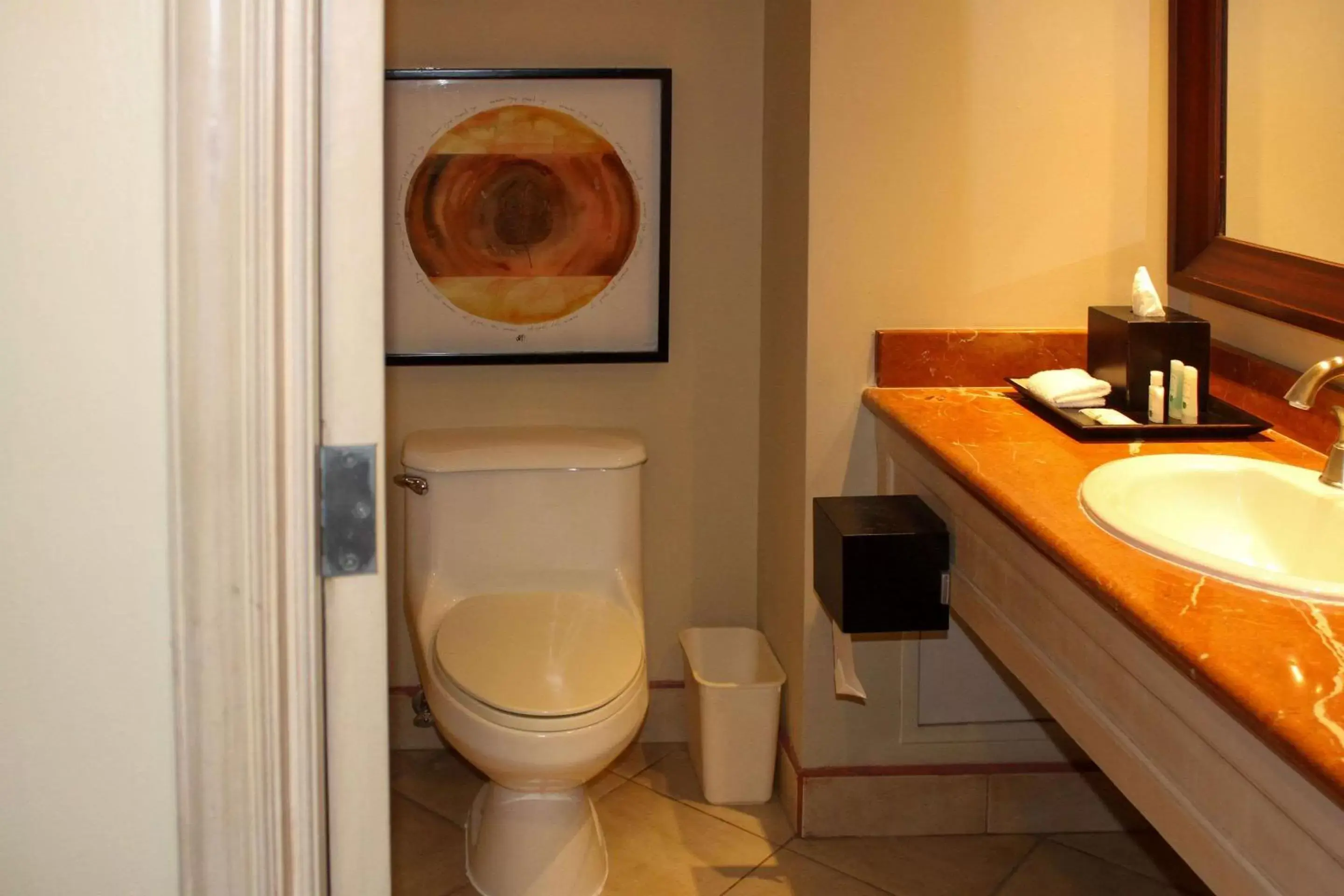 Bathroom in Quality Hotel Real San Jose