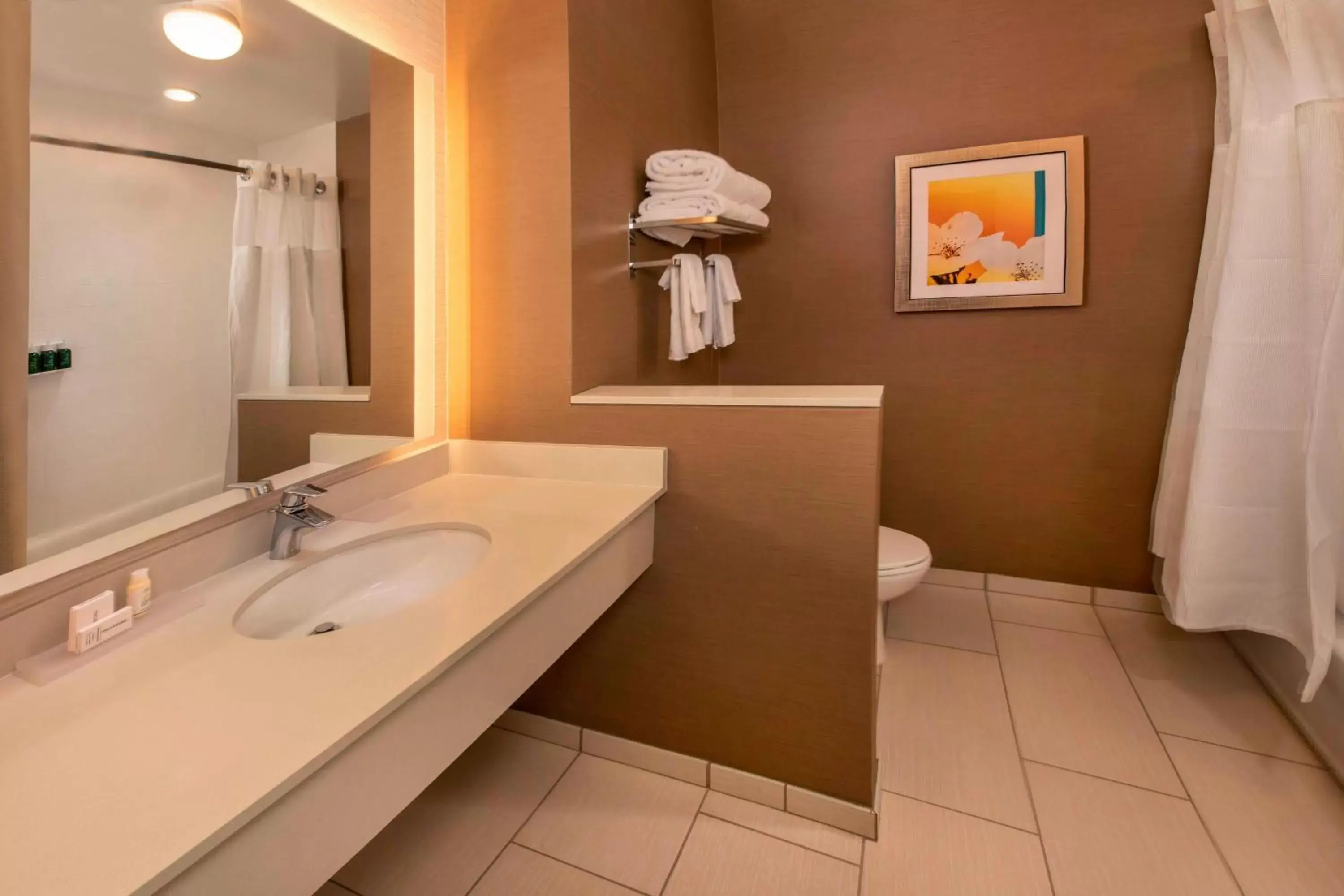 Bathroom in Fairfield Inn & Suites by Marriott Harrisburg International Airport