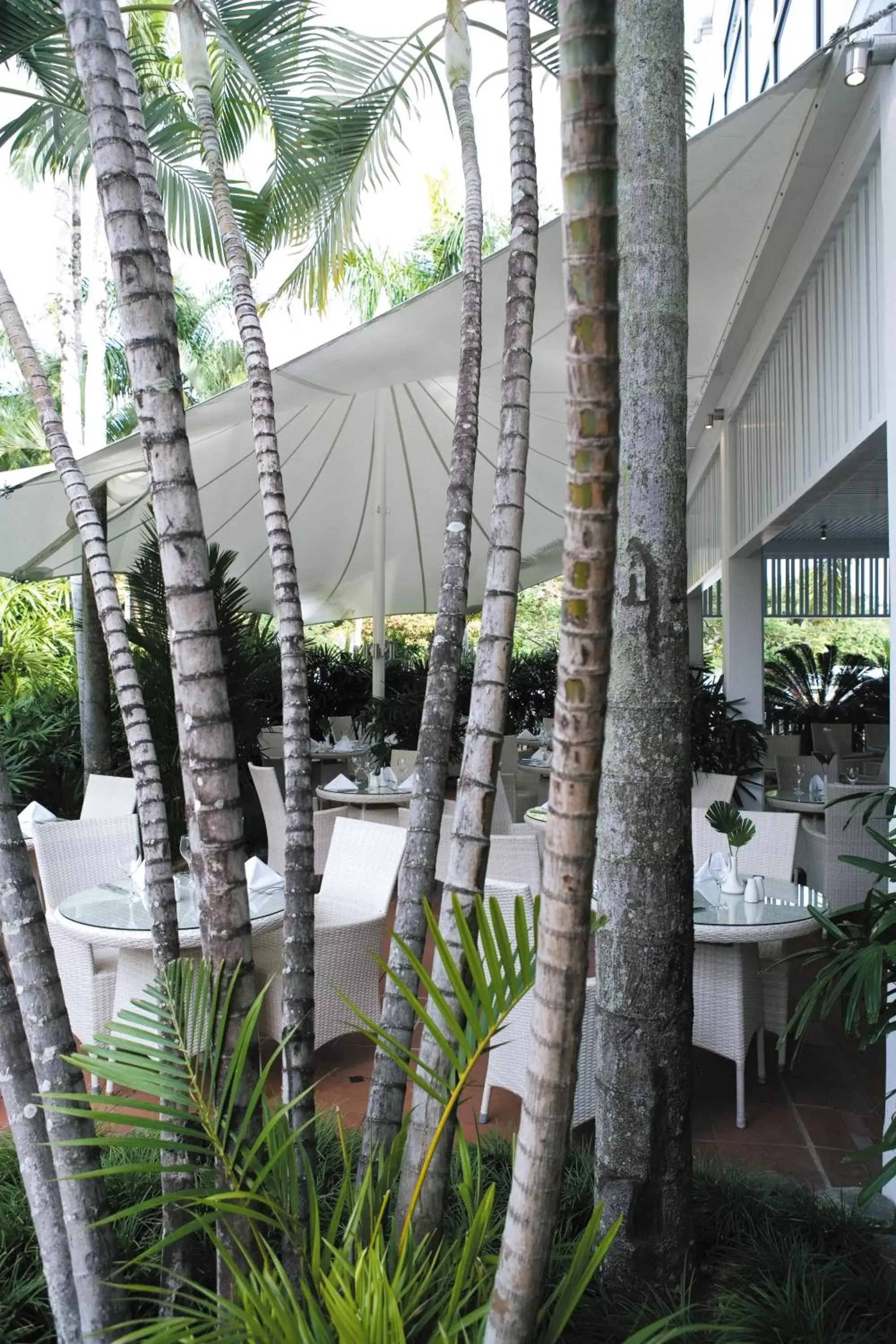 Patio, Restaurant/Places to Eat in Ramada By Wyndham Cairns City Centre