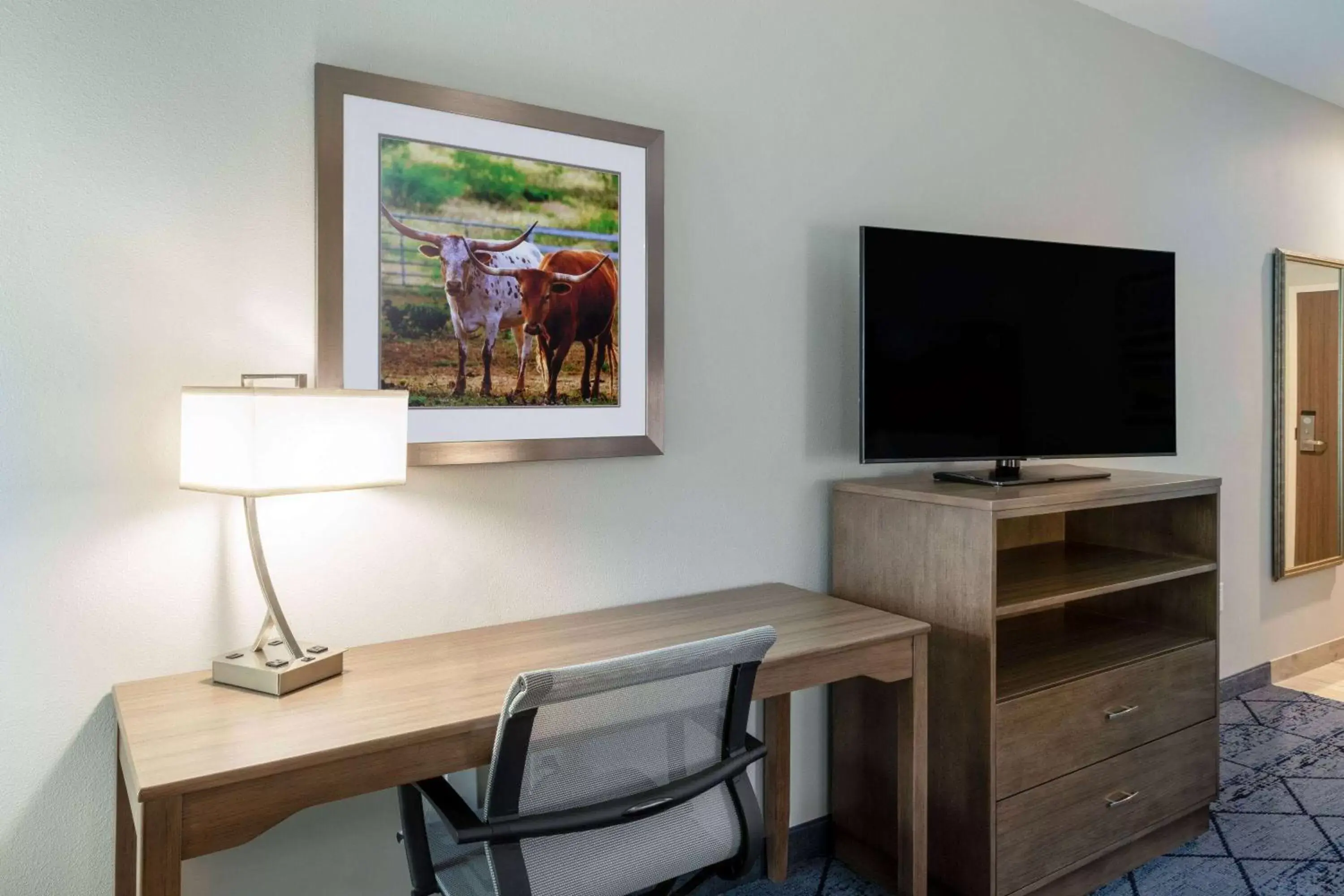 Photo of the whole room, TV/Entertainment Center in La Quinta Inn & Suites by Wyndham Round Rock near Kalahari