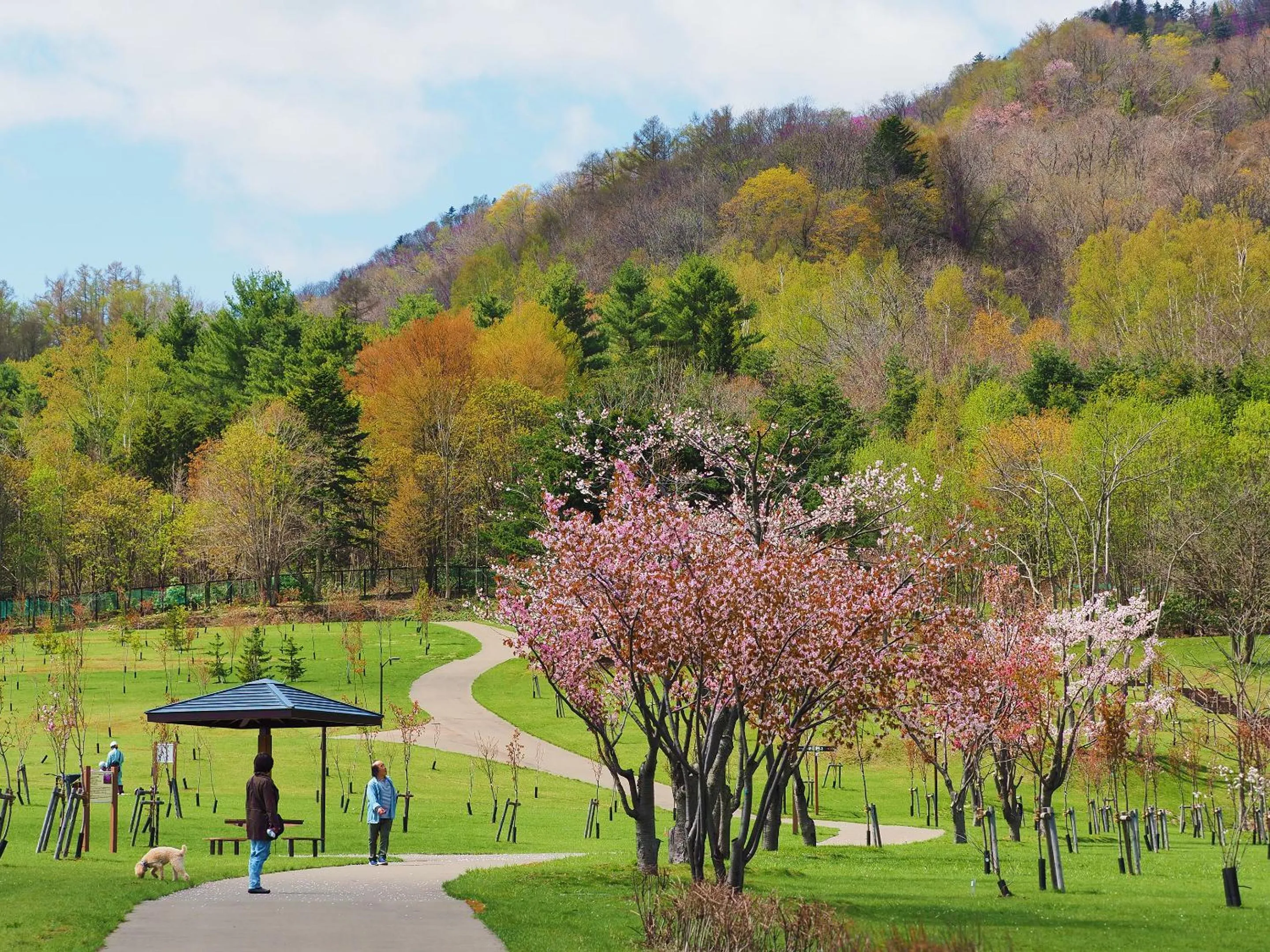 Natural landscape in Jozankei View Hotel