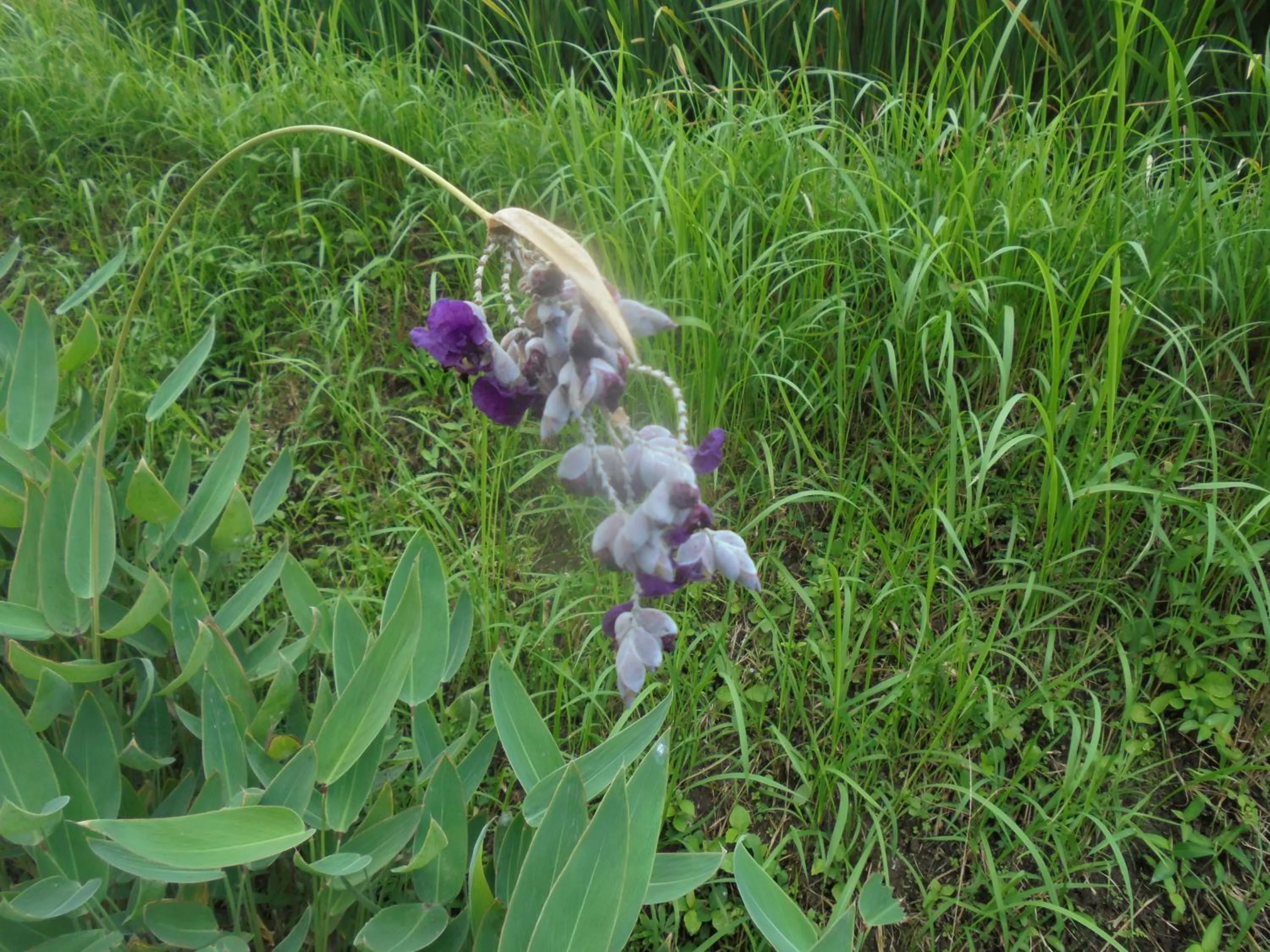 Other in Biyukukung Suite & Spa