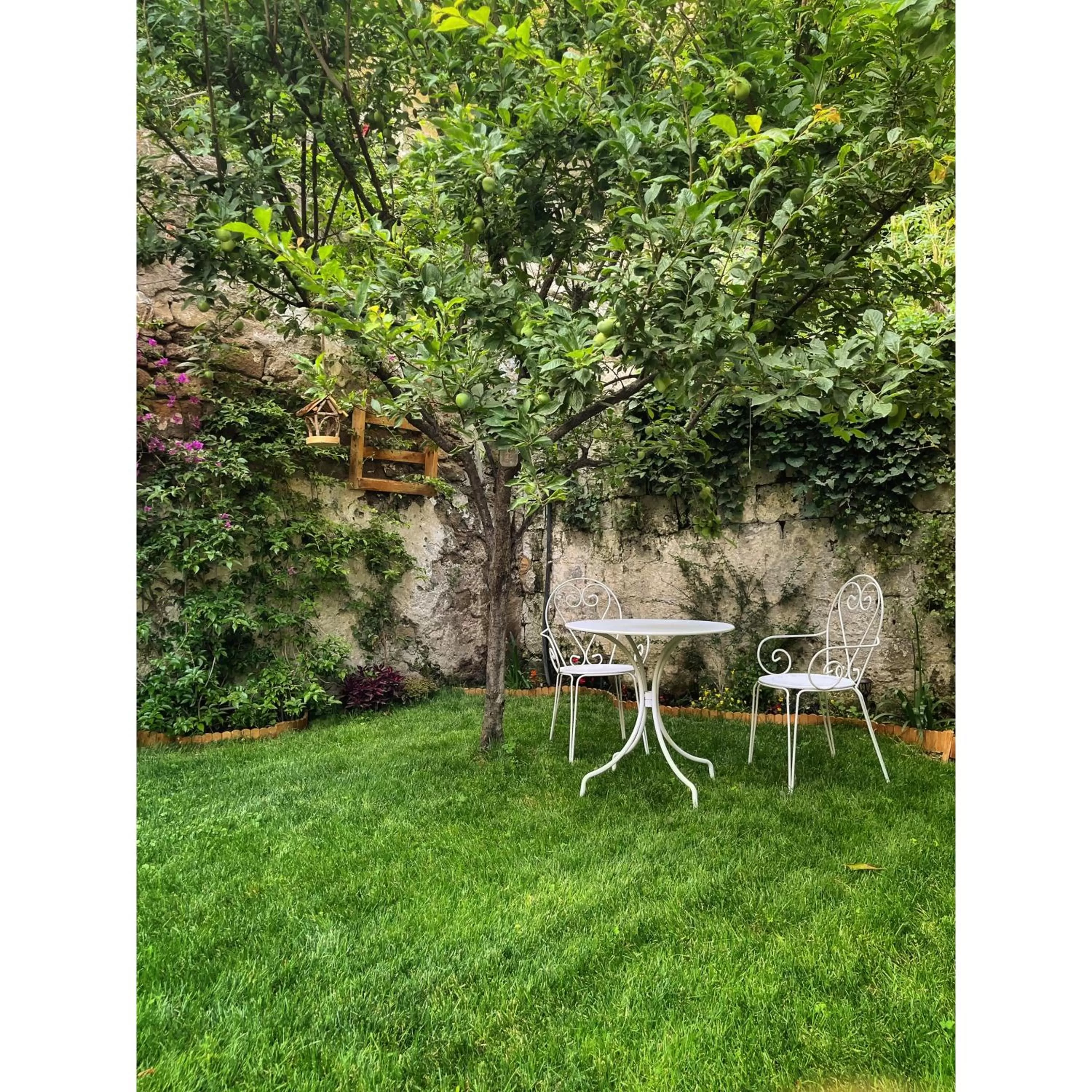 Garden in Casa Vayu - Rooms & Garden