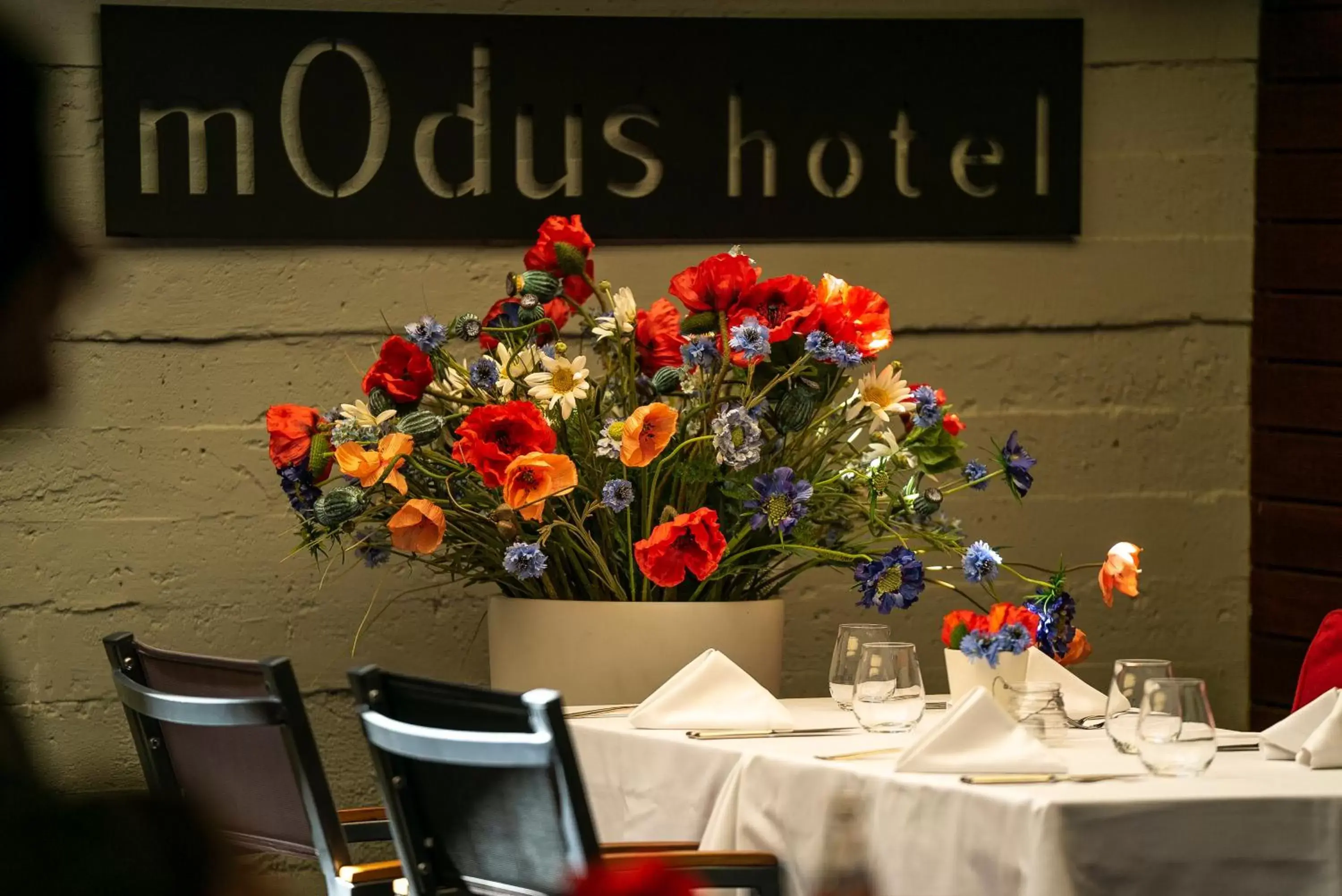 Dinner, Restaurant/Places to Eat in mOdus Hotel