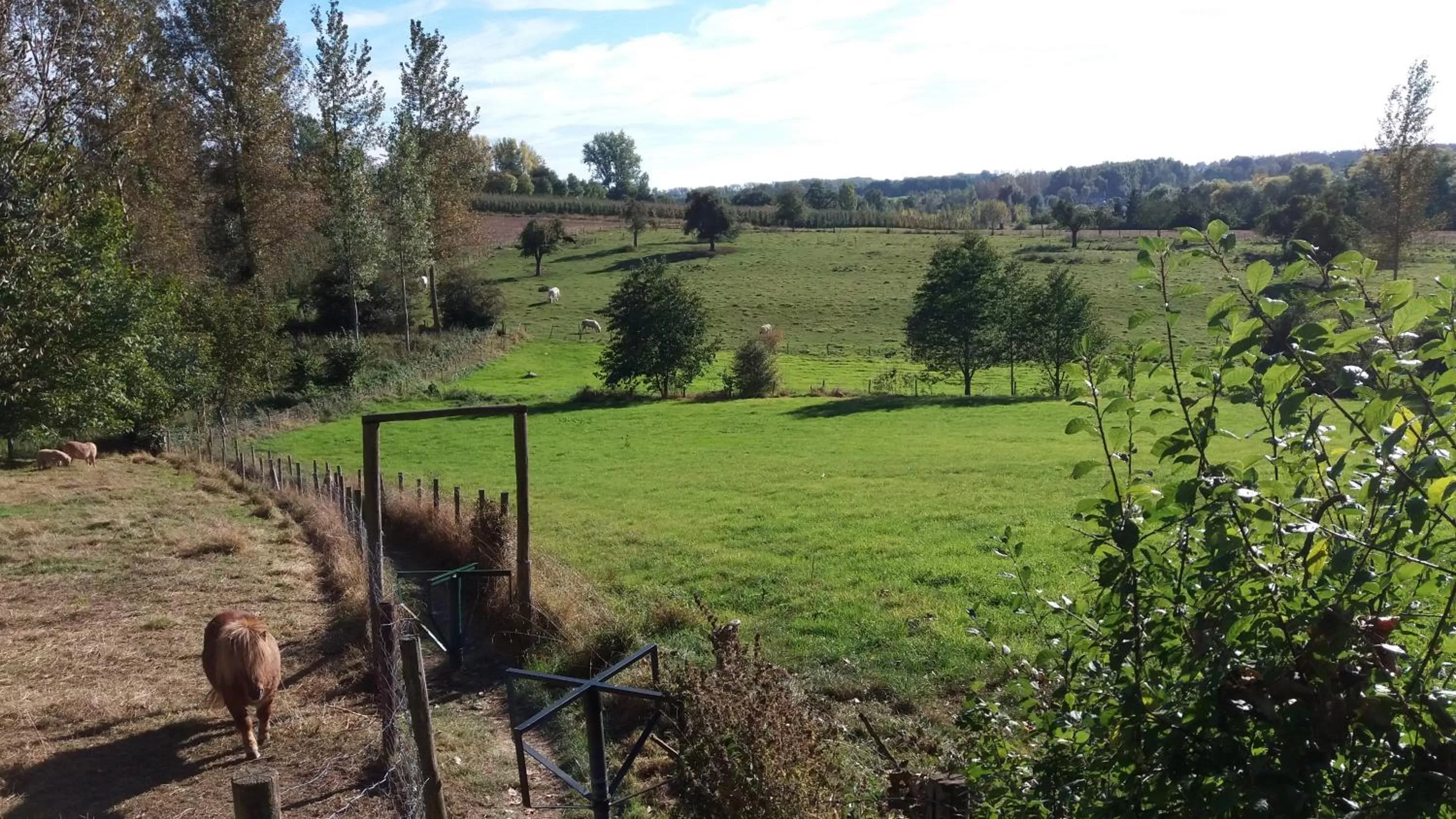 Off site in De Pastorie