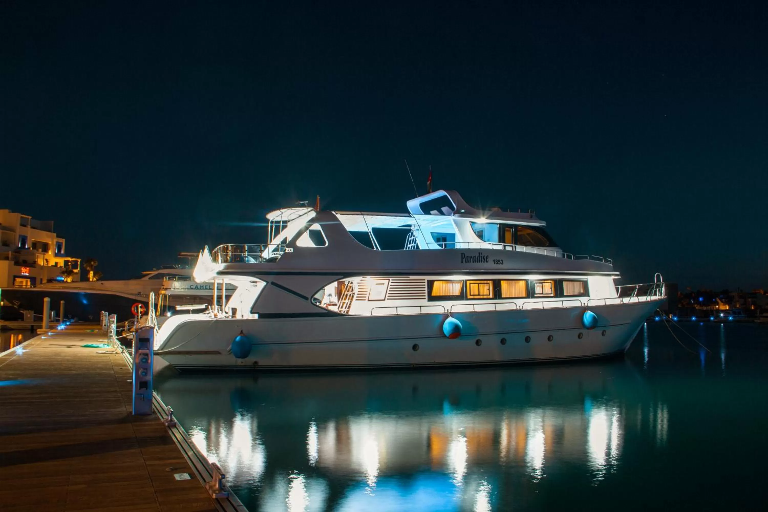 Activities in Aqaba Adventure Divers Resort & Dive Center