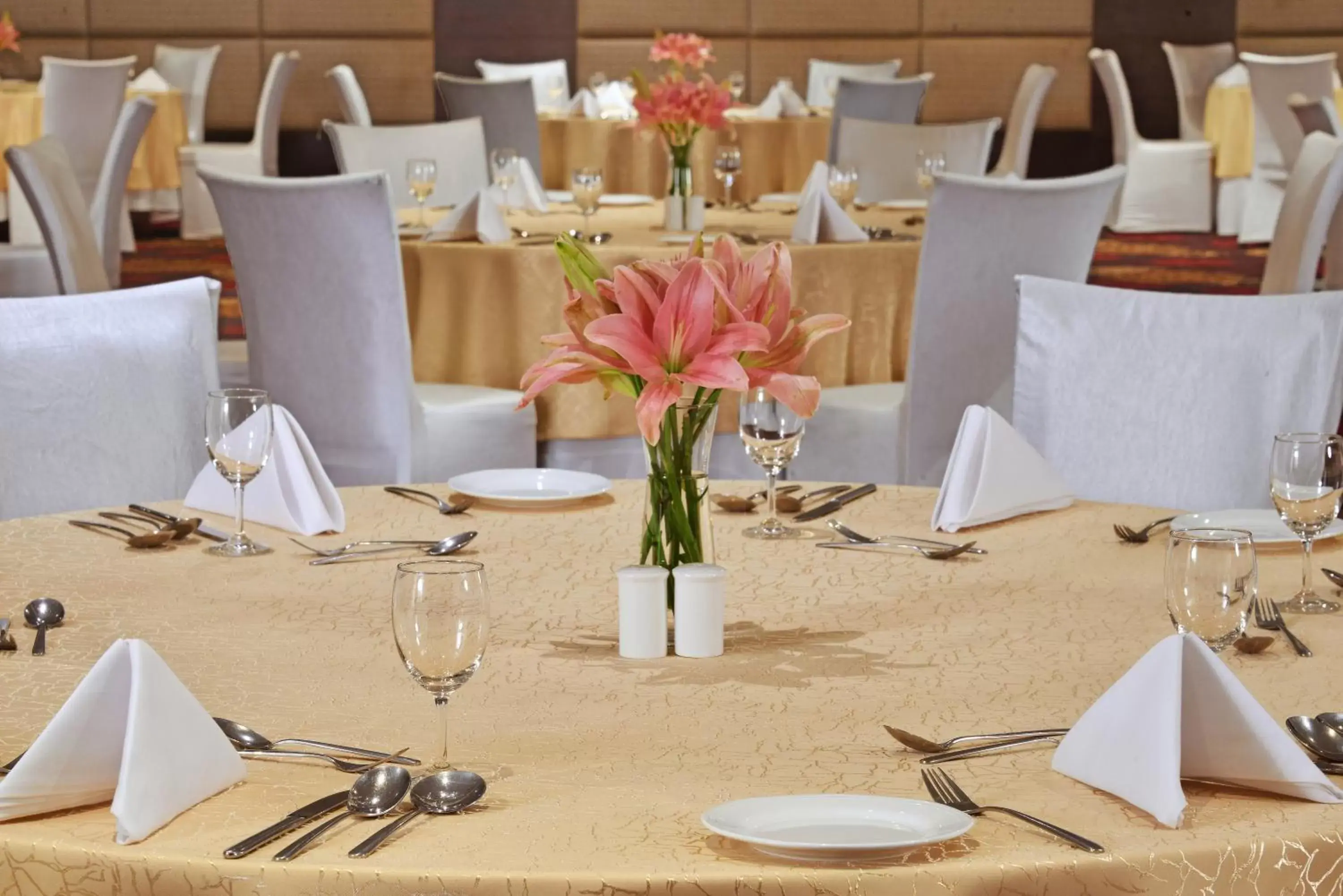 Business facilities, Restaurant/Places to Eat in Radisson Hotel Agra