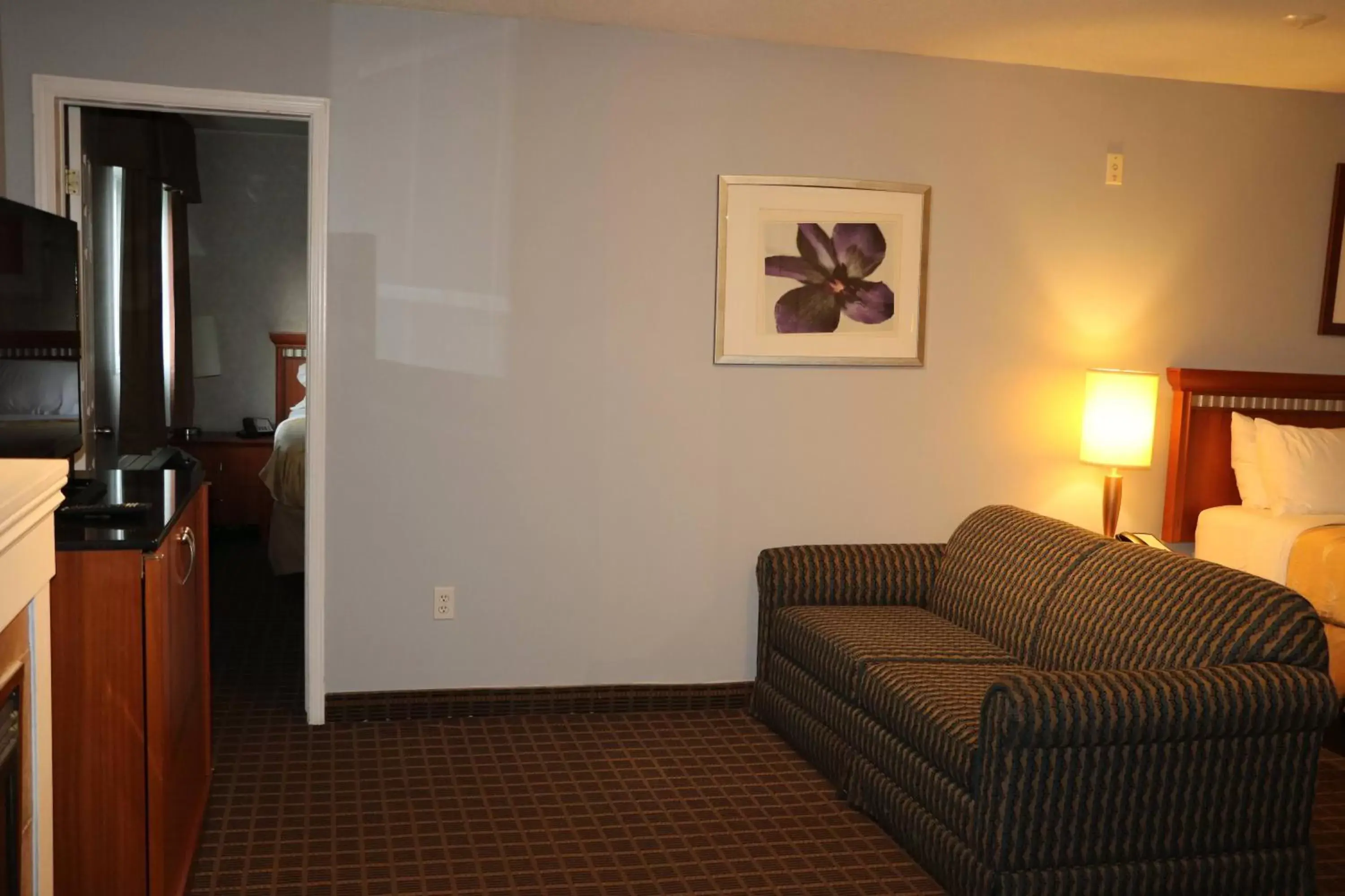 TV and multimedia, TV/Entertainment Center in Quality Inn & Suites 1000 Islands