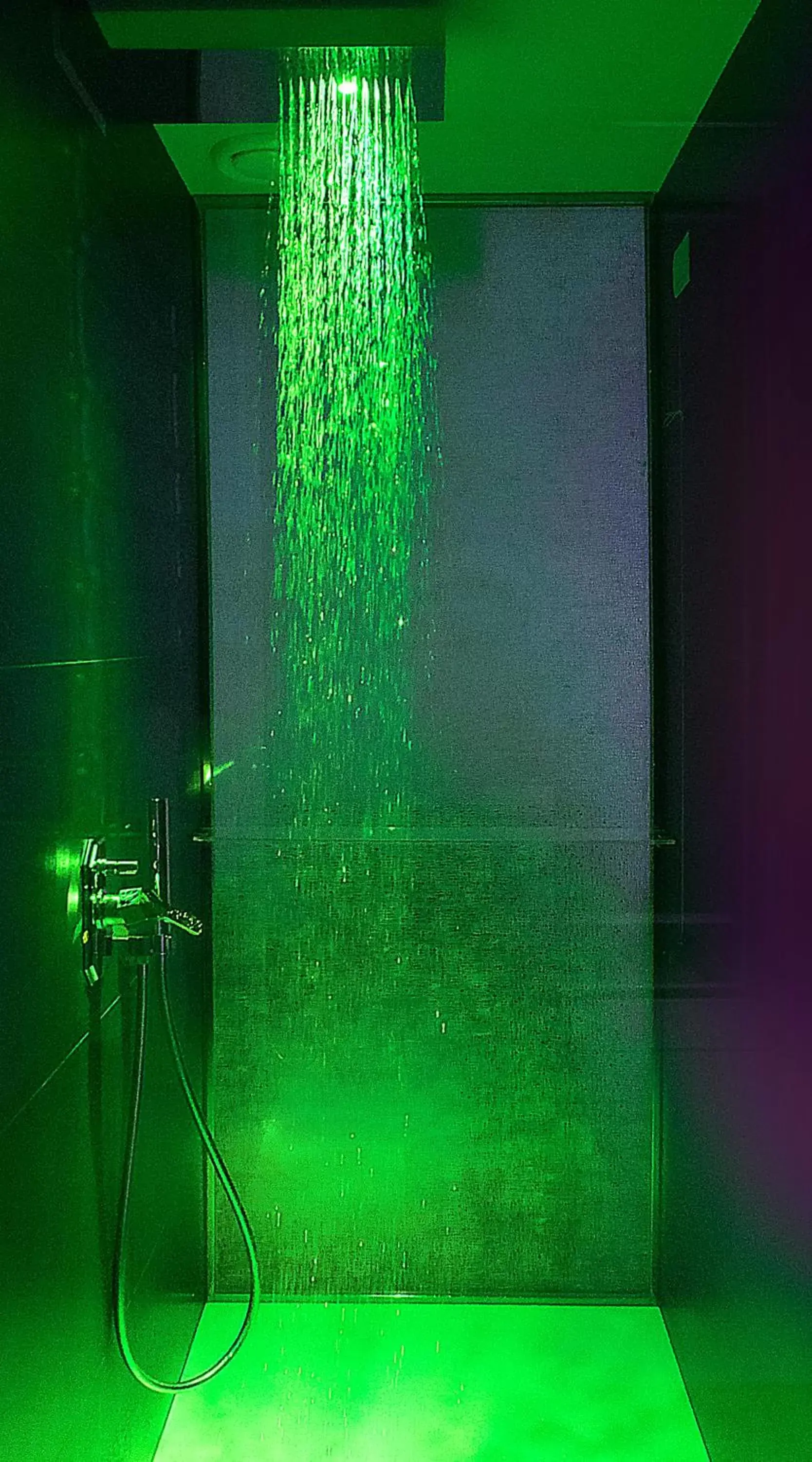 Shower, Bathroom in Hotel Papadopoli Venezia - MGallery Collection
