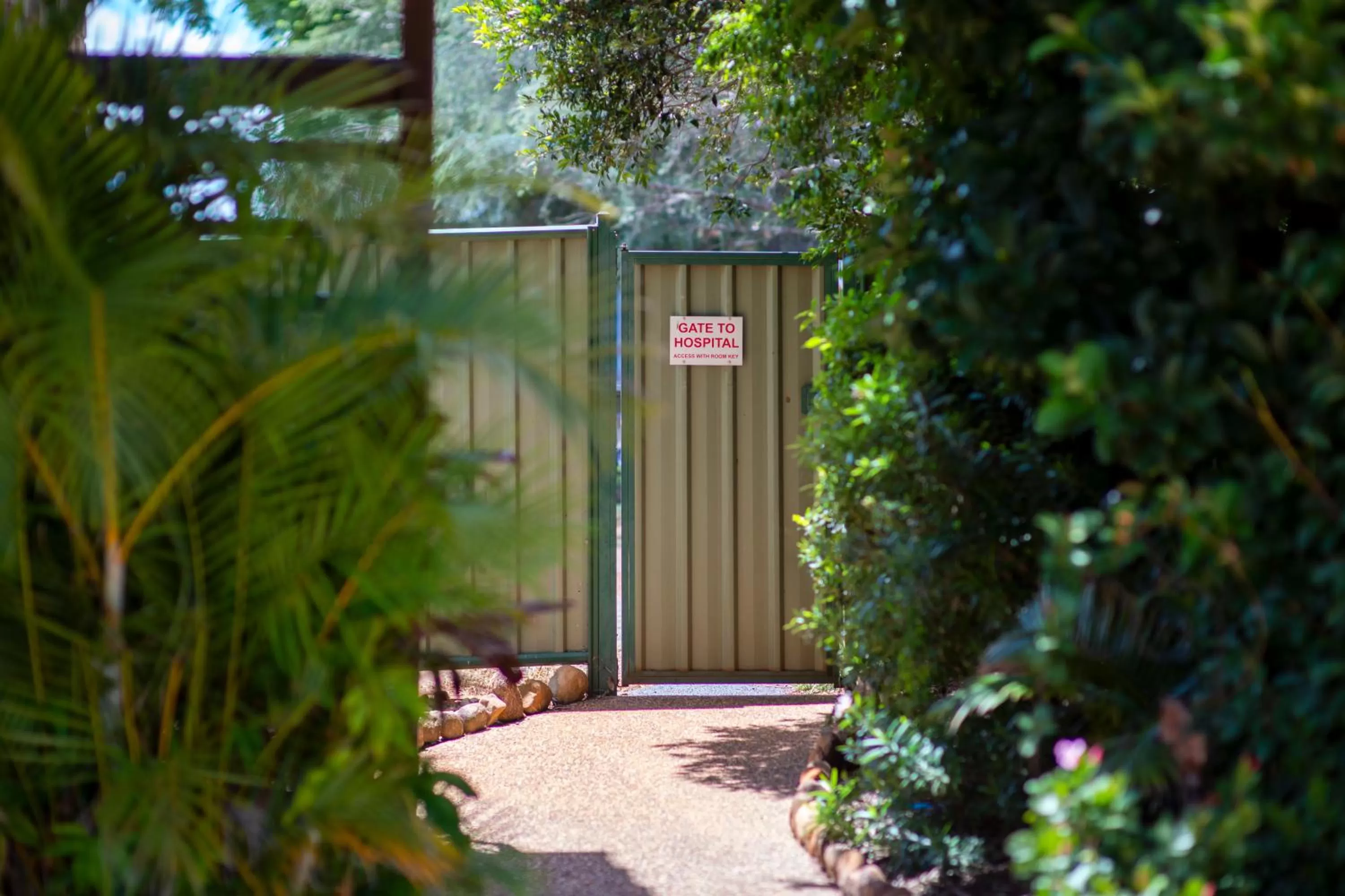 Property building in Highlander Motor Inn